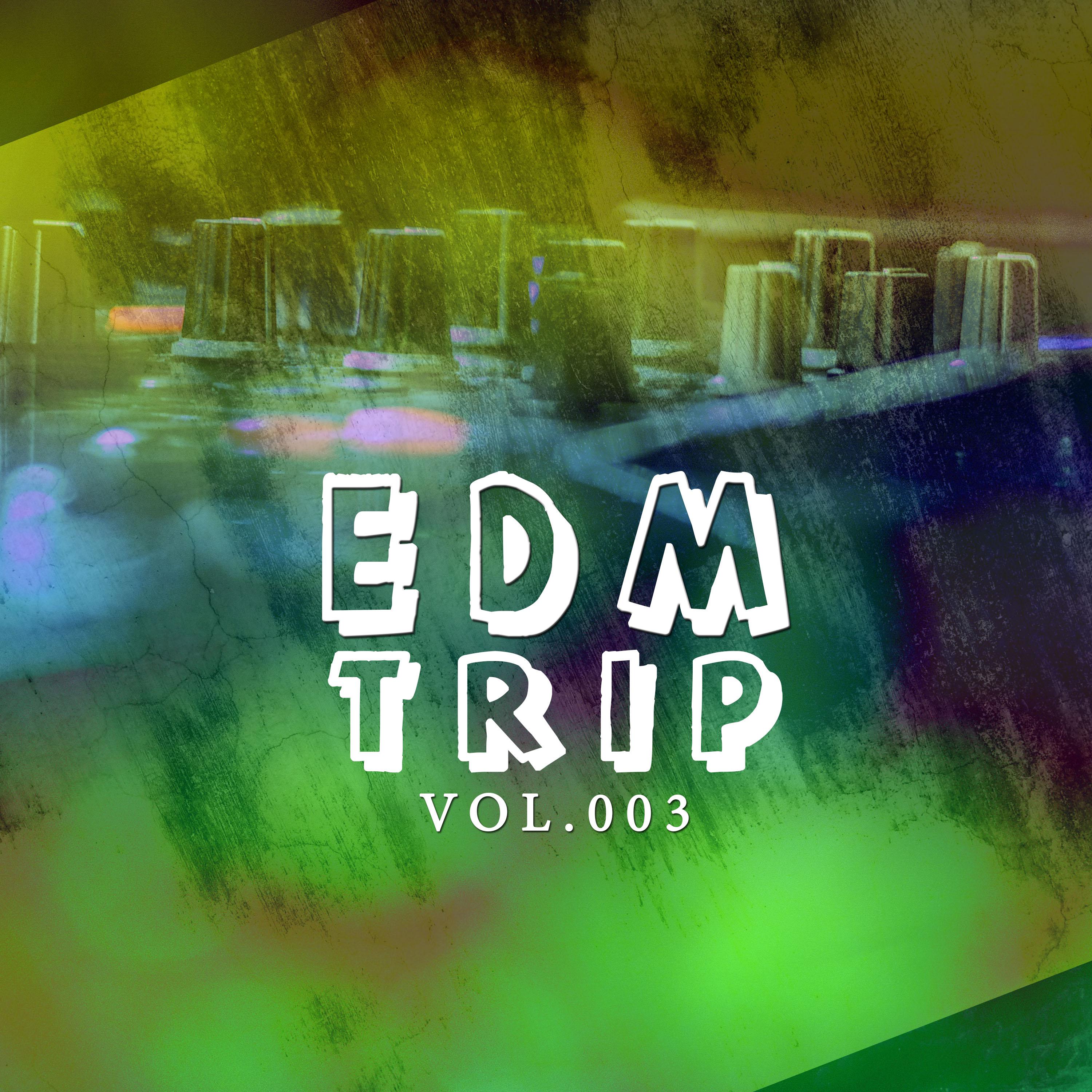 Постер альбома EDM Trip, Vol. 003