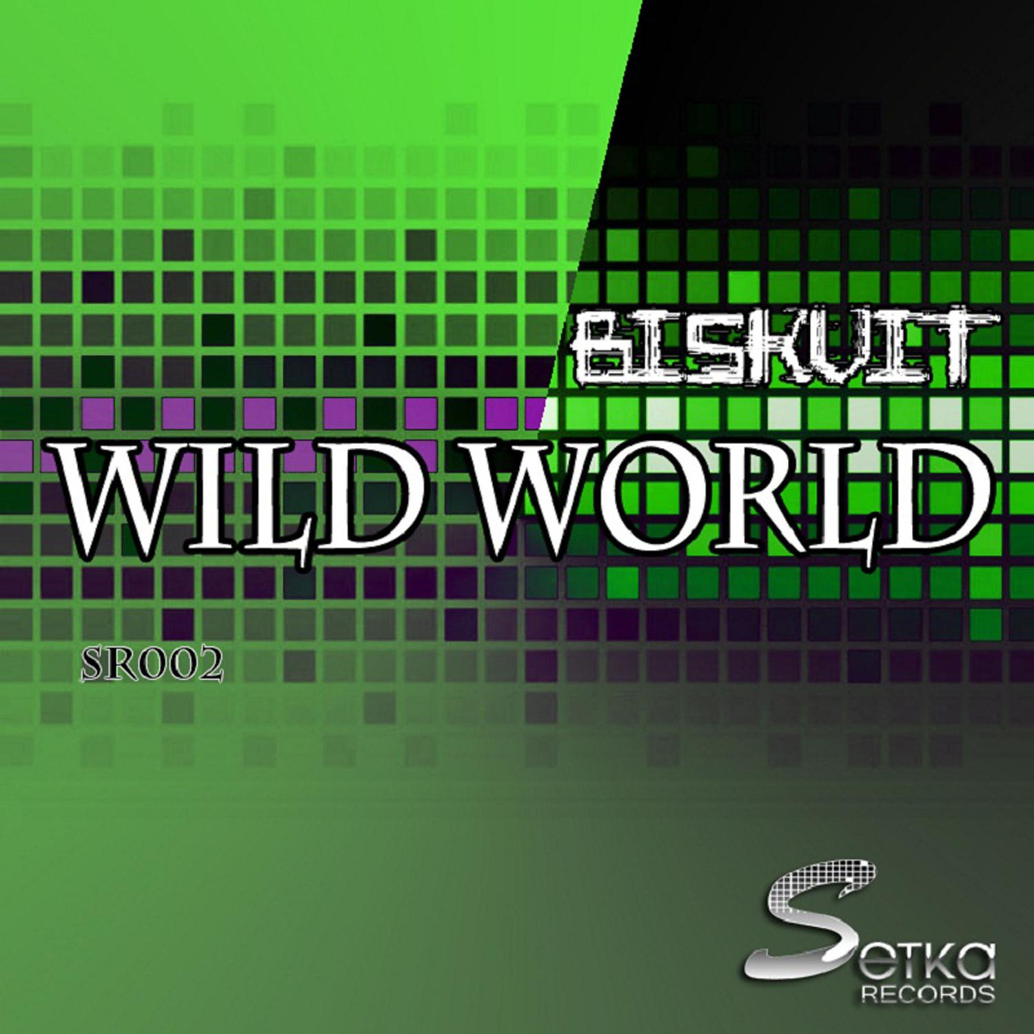 Постер альбома Wild World