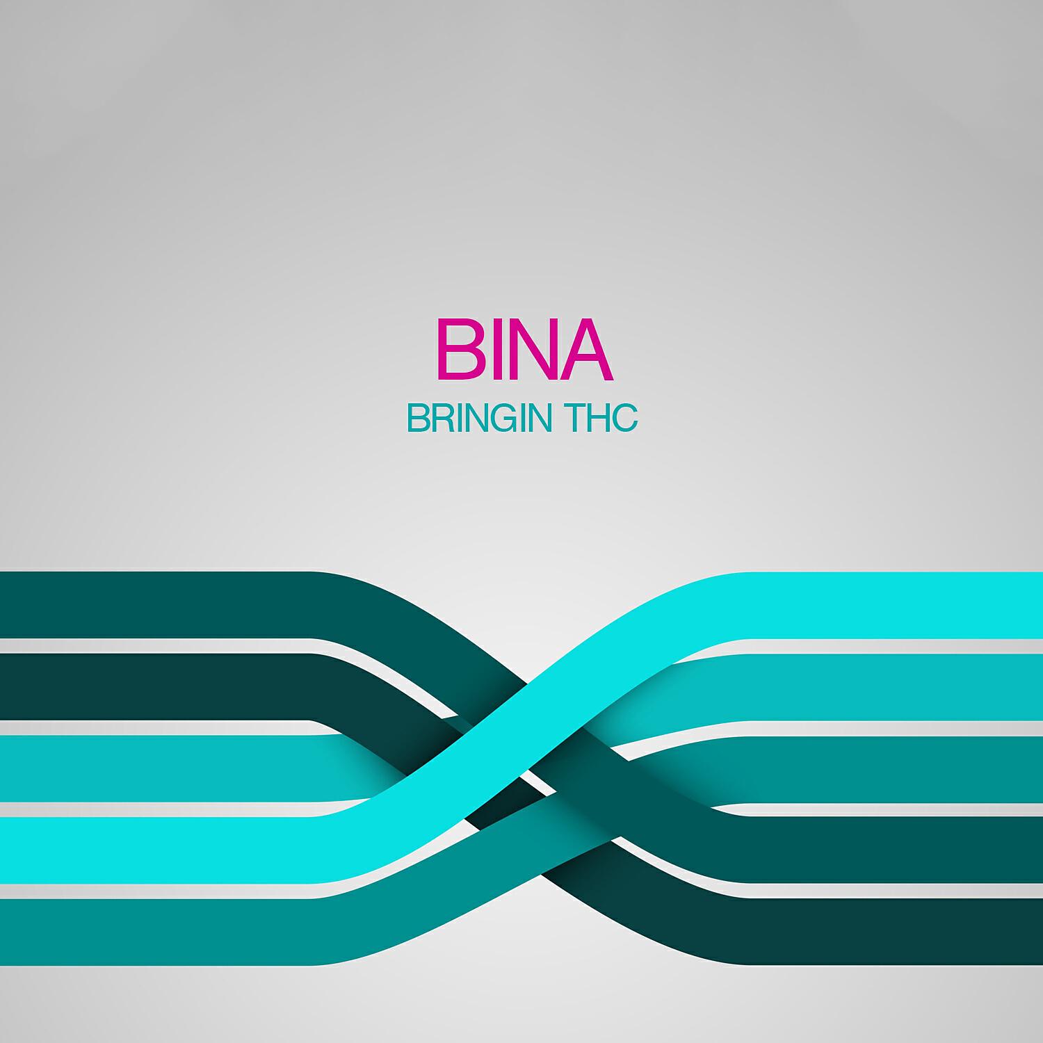 Bina - Bringin Thc (Original Mix)