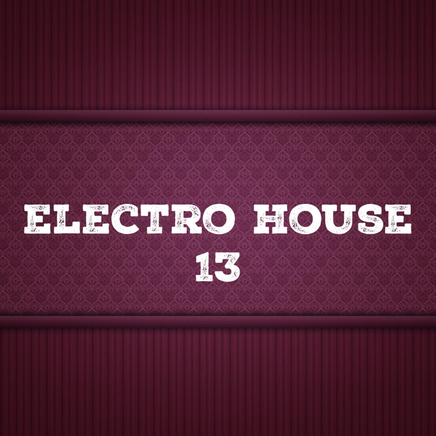 Постер альбома Electro House, Vol. 13