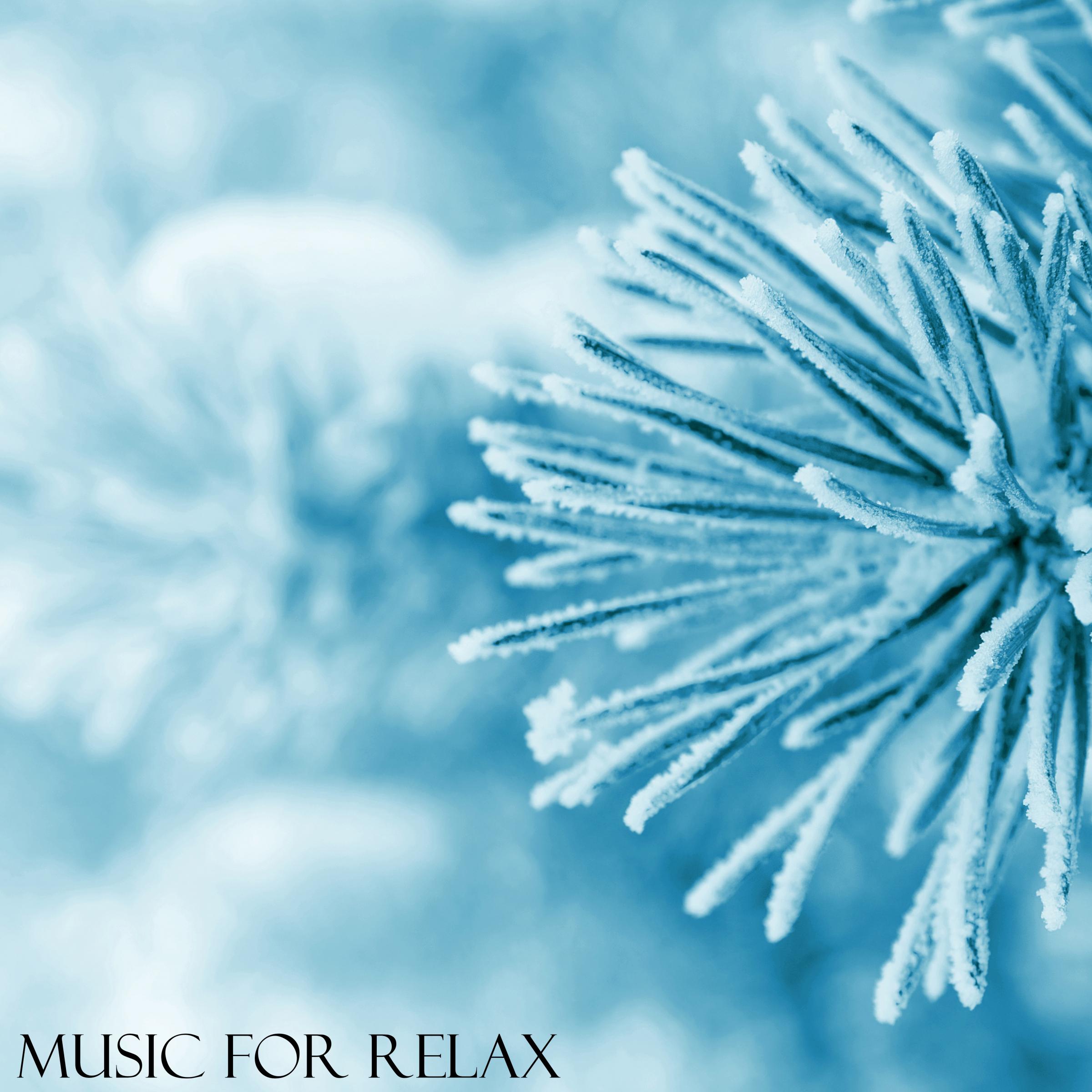 Постер альбома Music for Relax, Vol. 6