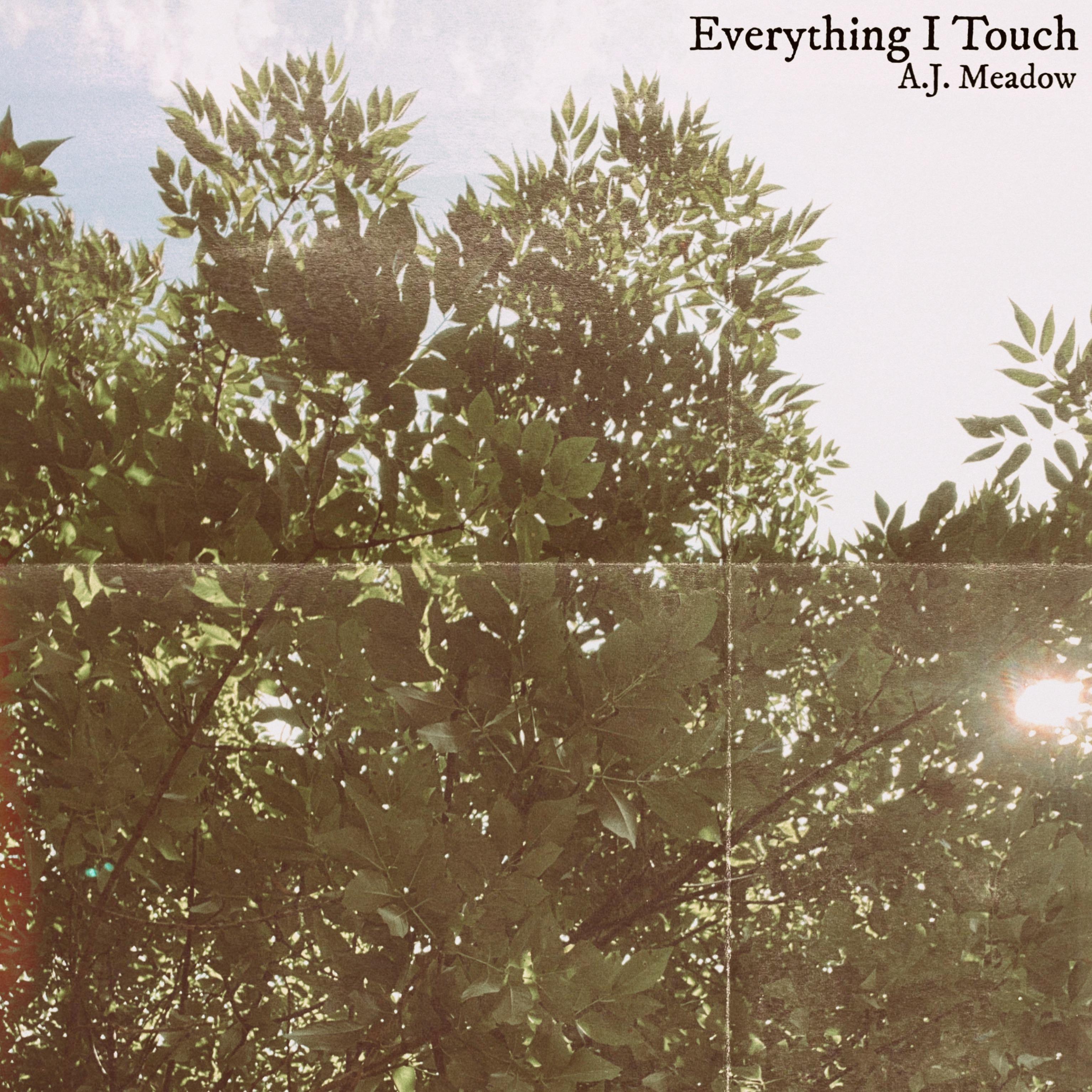 Постер альбома Everything I Touch