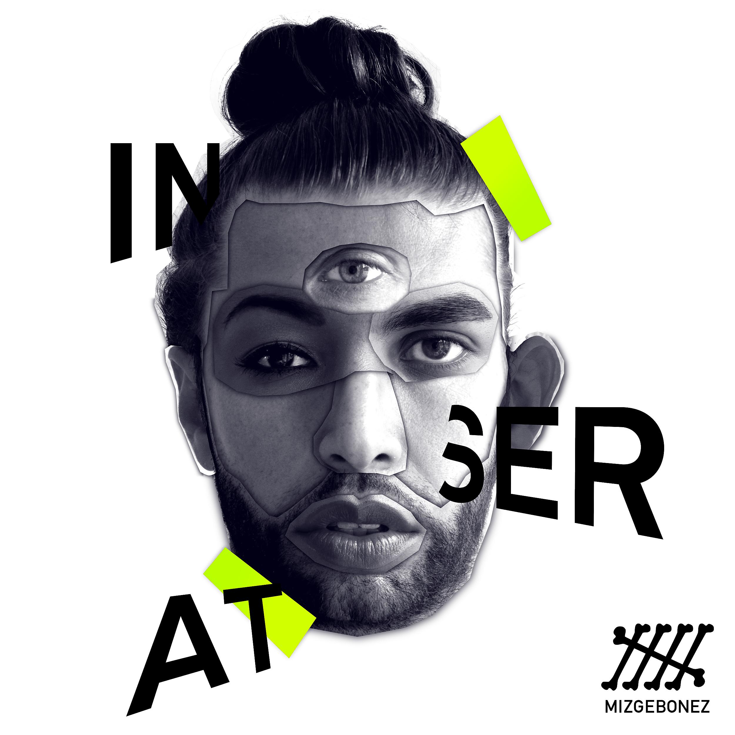 Постер альбома Inserat (Deluxe Version)