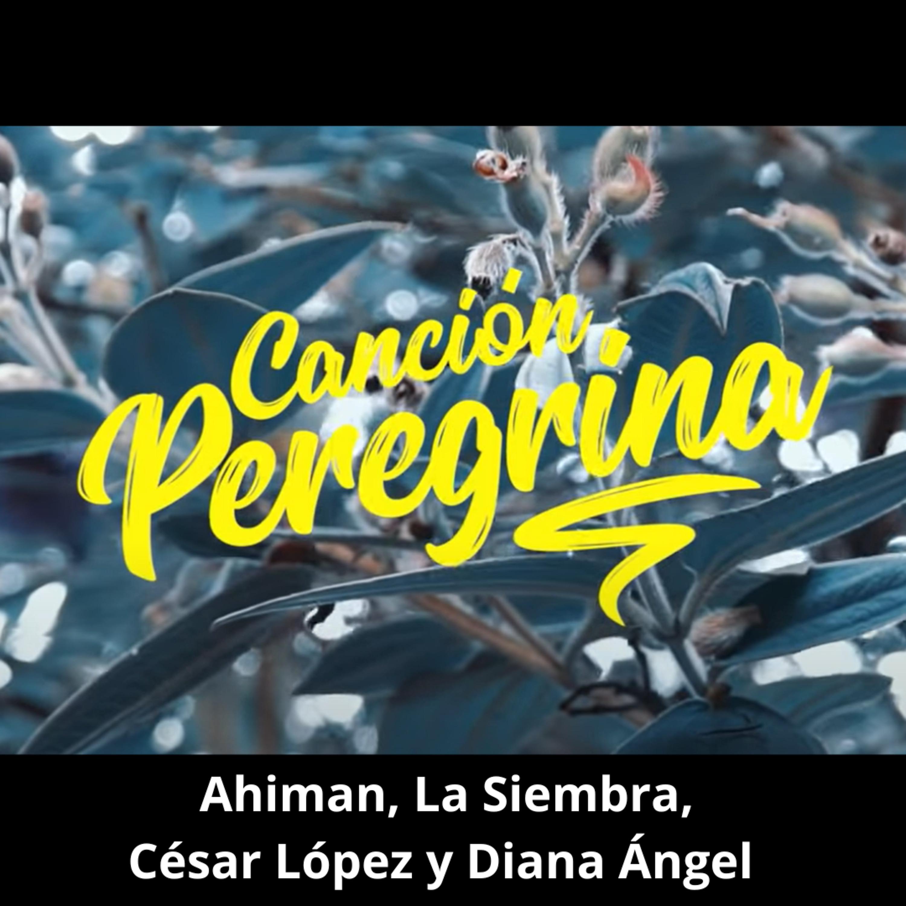 Постер альбома Canción Peregrina