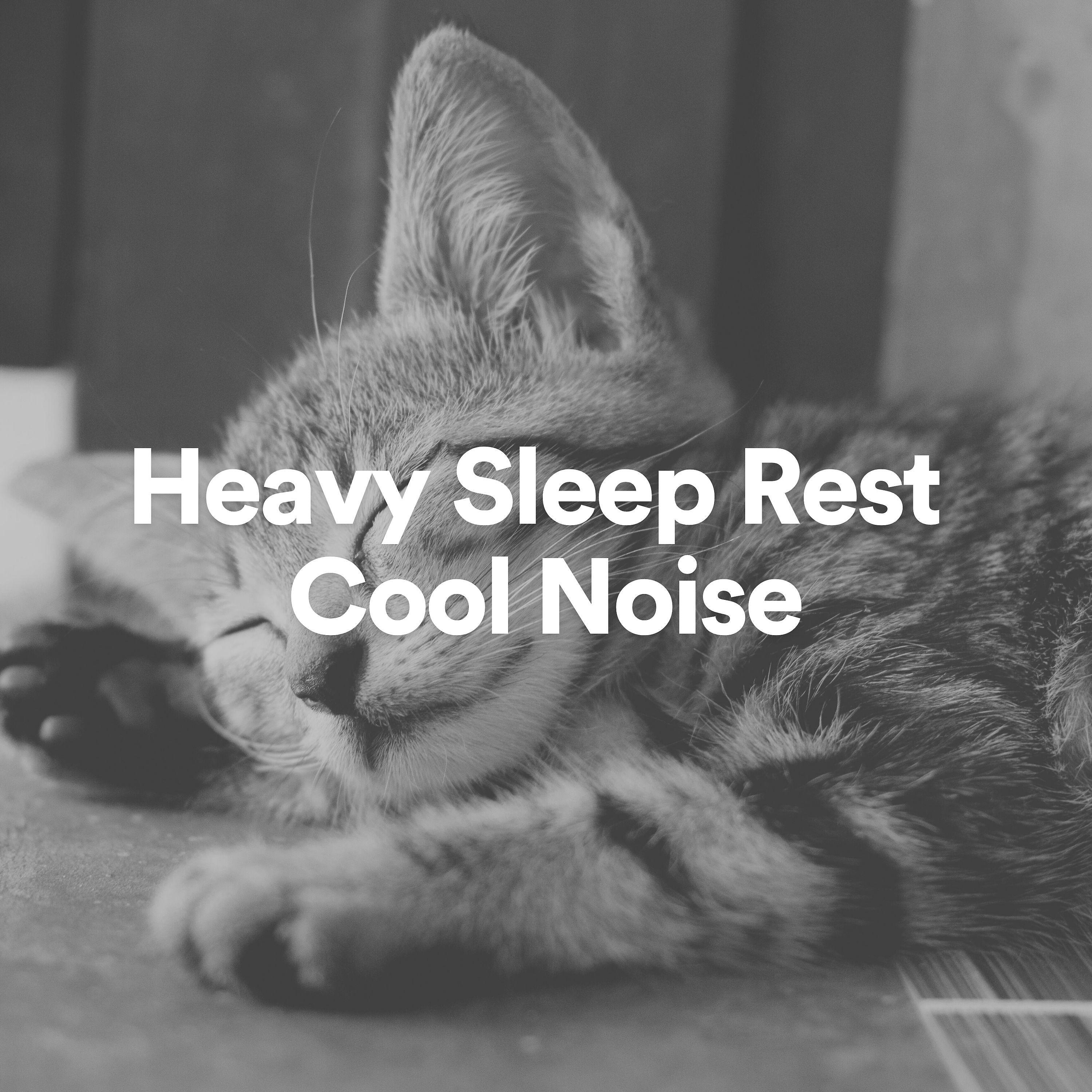 Постер альбома Heavy Sleep Rest Cool Noise