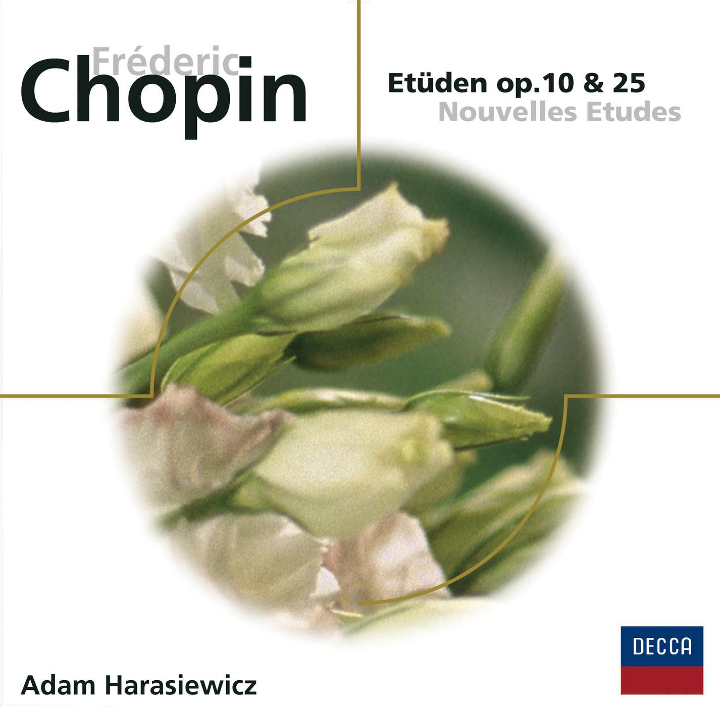 Постер альбома Chopin: Etüden