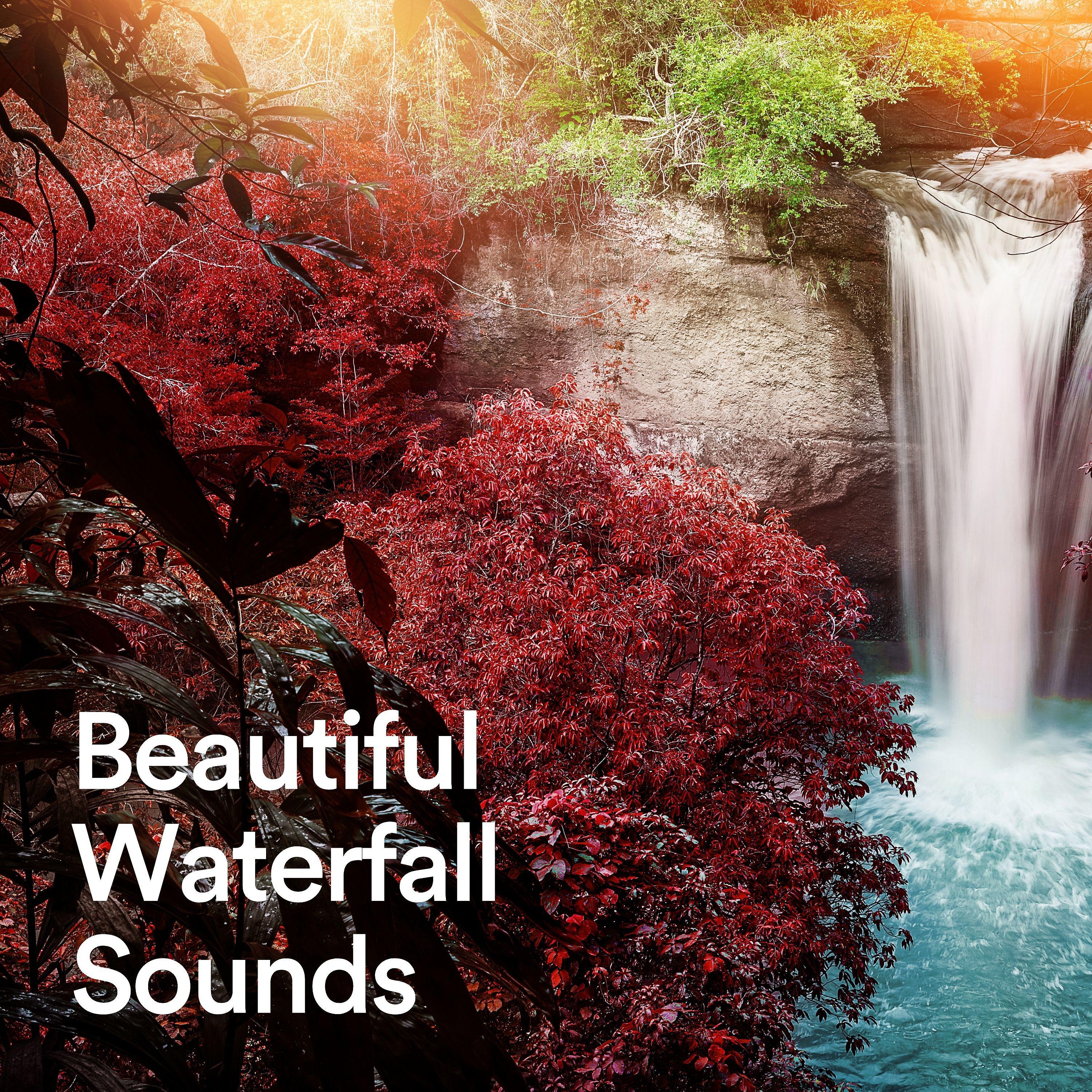 Постер альбома Beautiful Waterfall Sounds