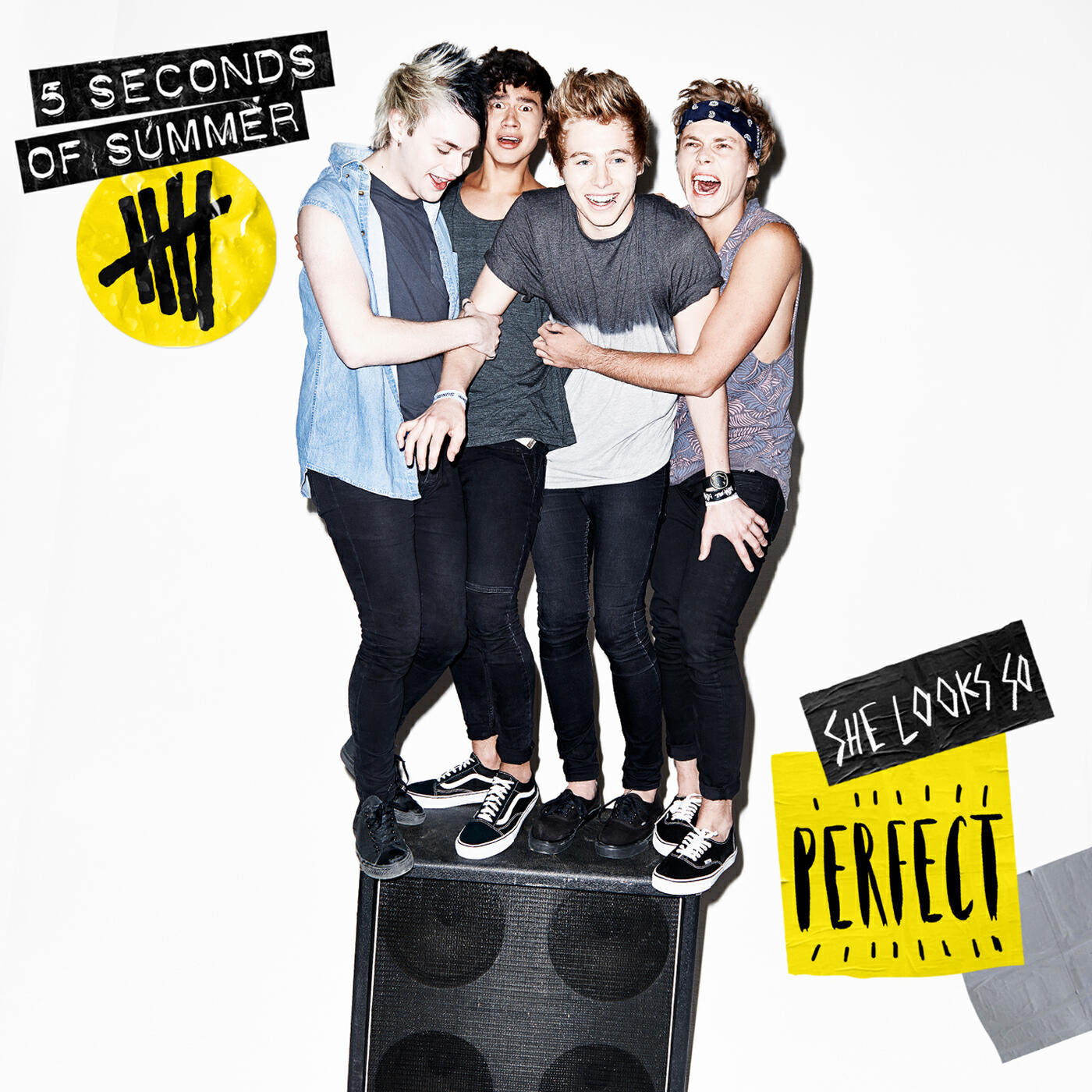 5 Seconds Of Summer - She Looks So Perfect (Mikey Demo Vocal)