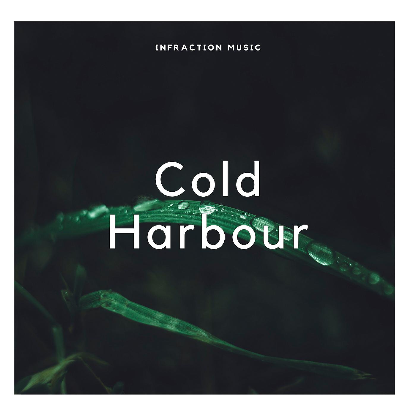 Постер альбома Cold Harbour