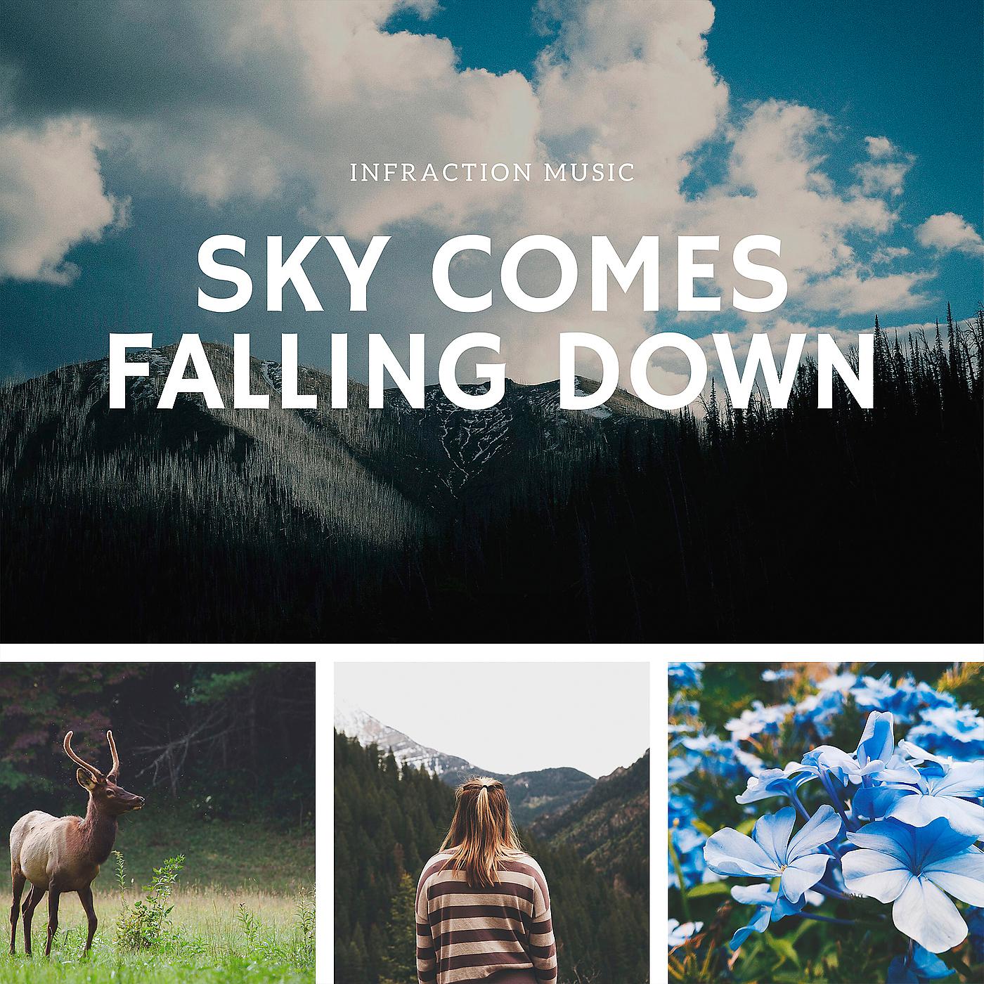 Постер альбома Sky Comes Falling Down