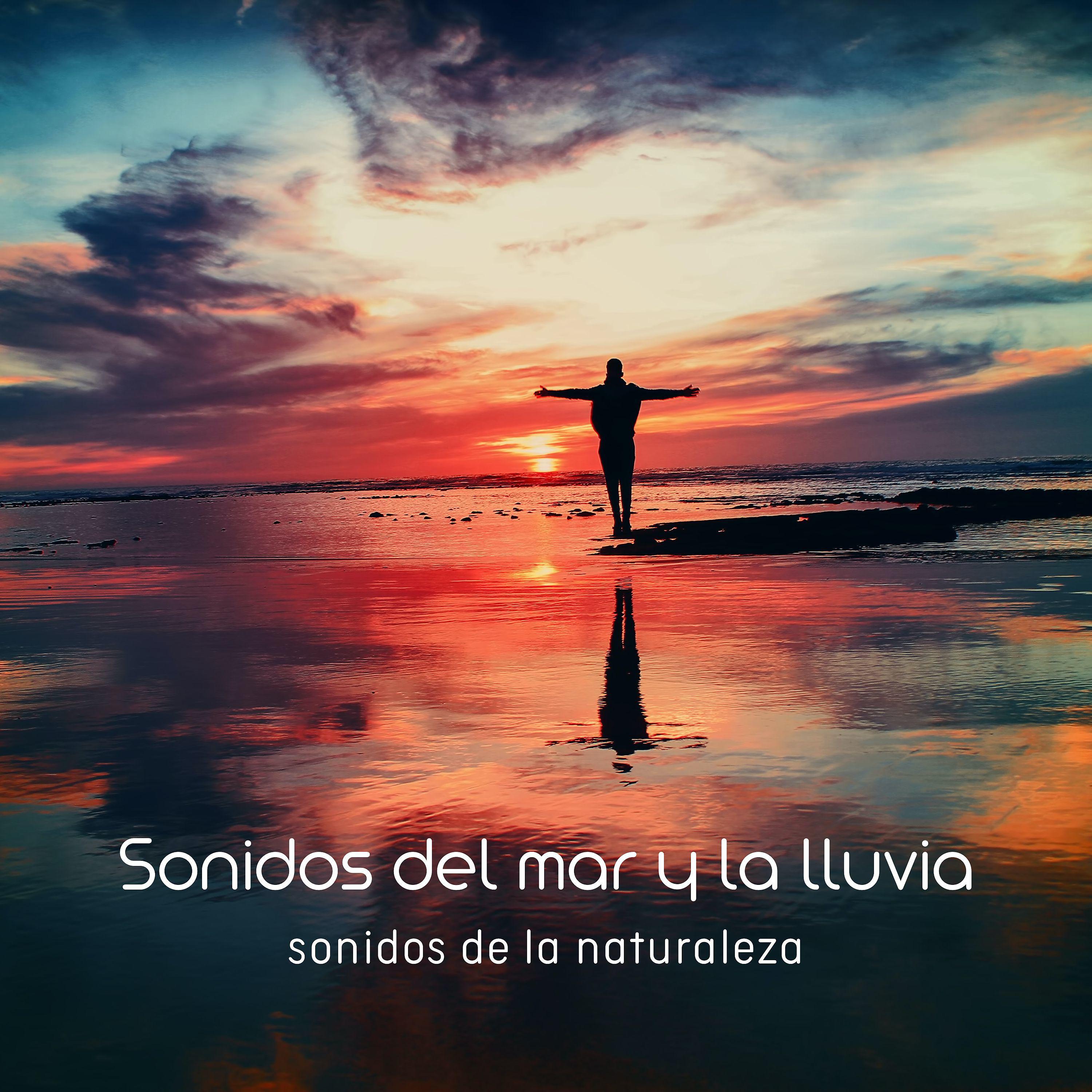 Постер альбома Sonidos del mar y la lluvia