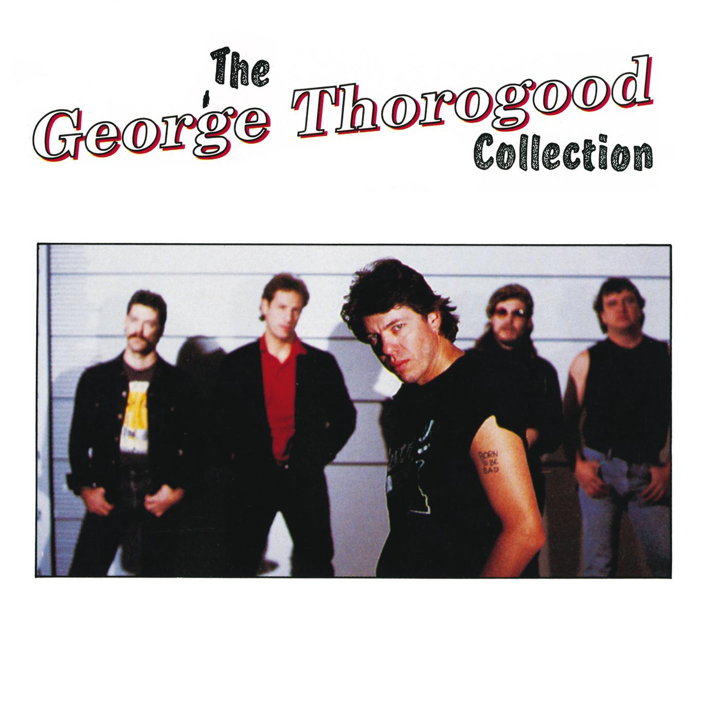 George Thorogood And The Destroyers - Willie And The Hand Jive