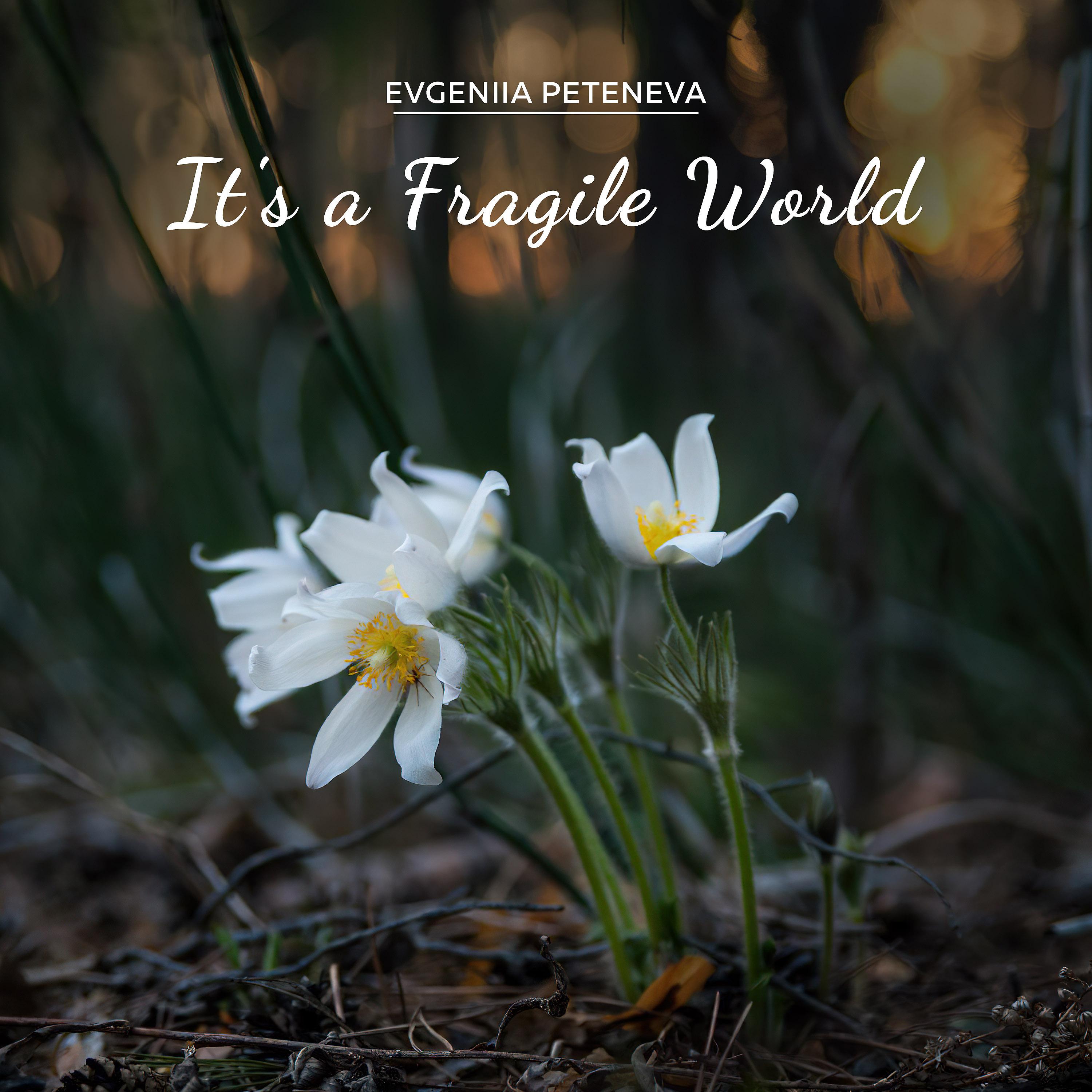 Постер альбома It's a Fragile World