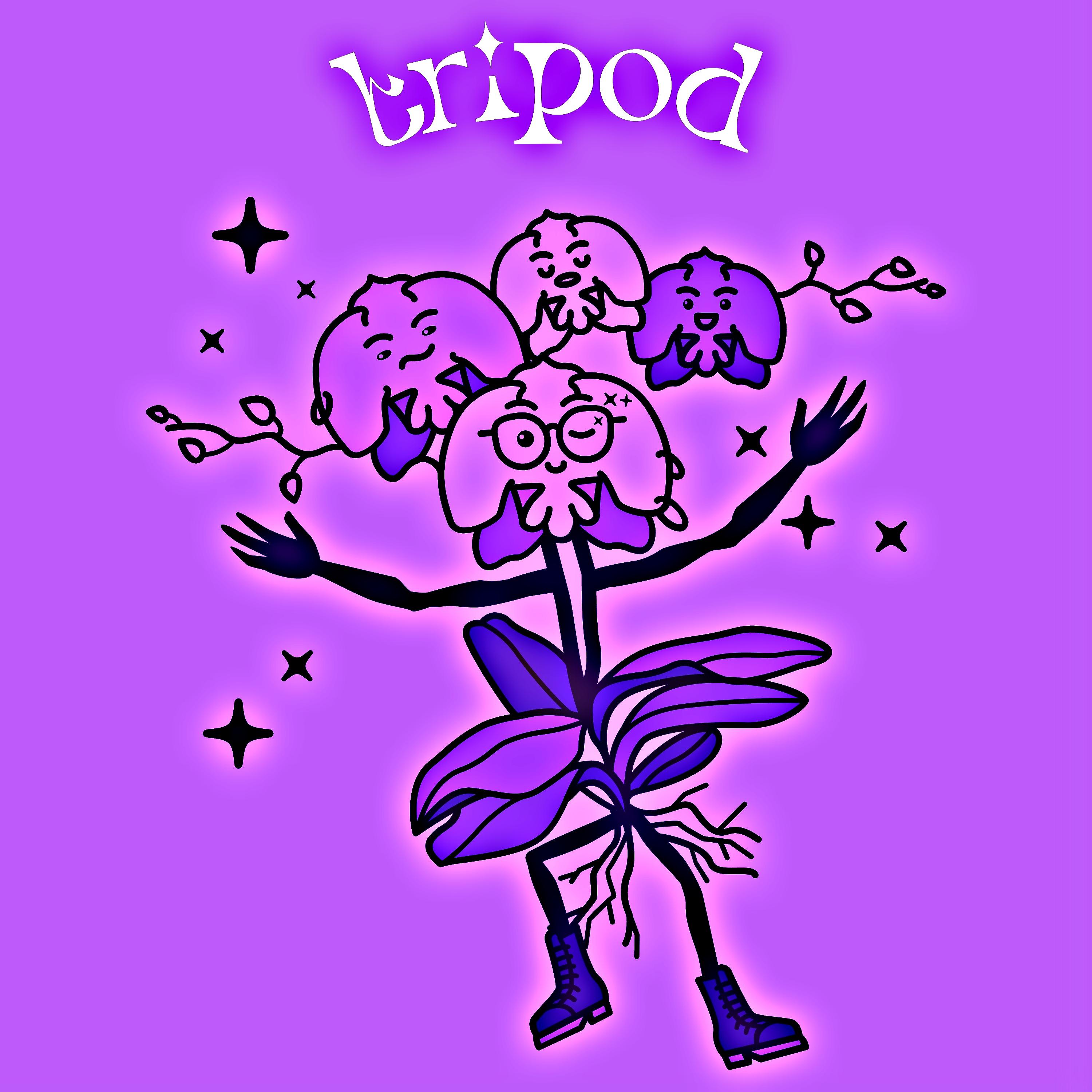 Постер альбома Tripod