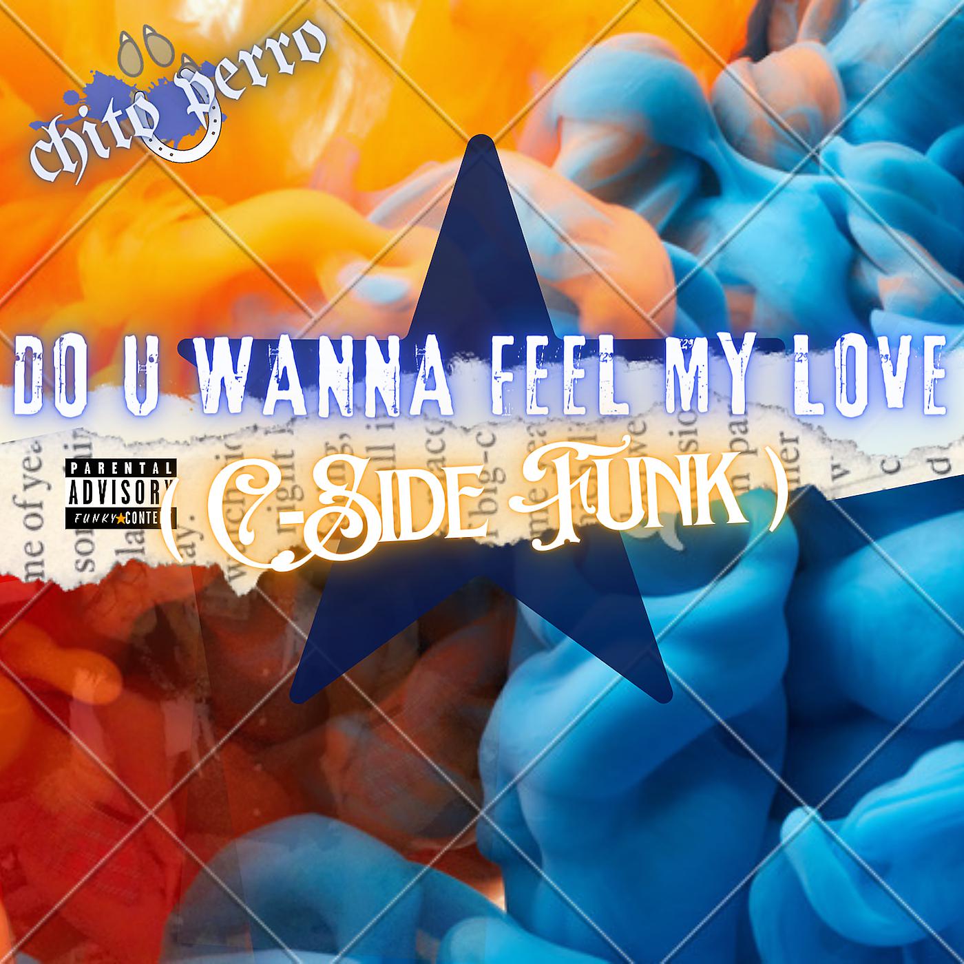 Постер альбома Do U Wanna Feel My Love (C Side Funk)