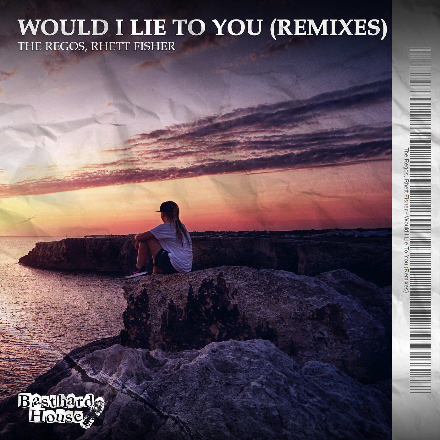 Постер альбома Would I Lie To You (Remixes)