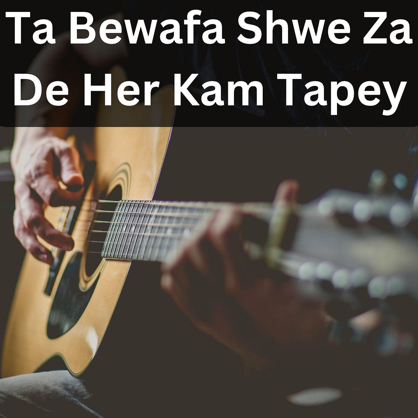 Постер альбома Ta Bewafa Shwe Za De Her Kam Tapey