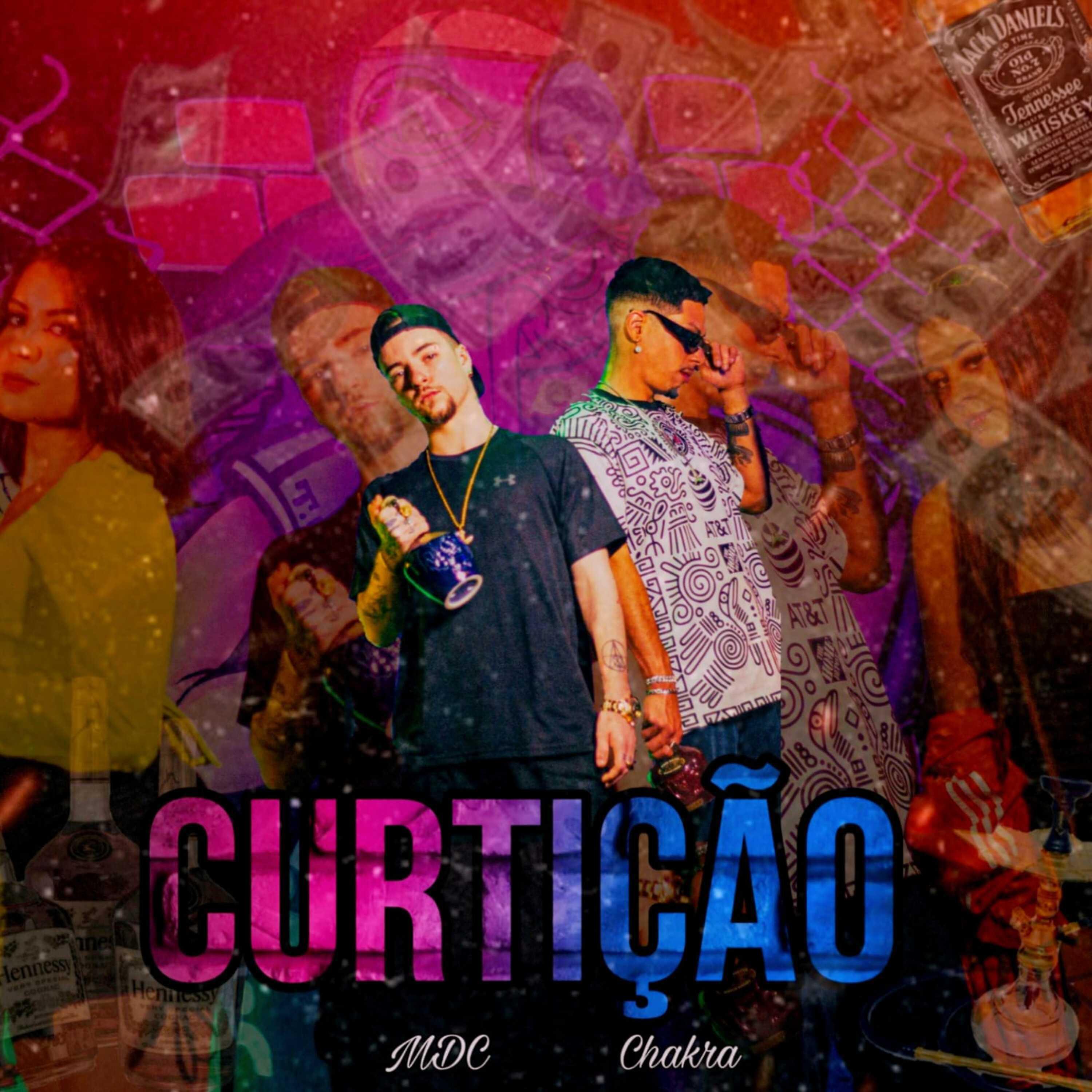 Постер альбома Curtição