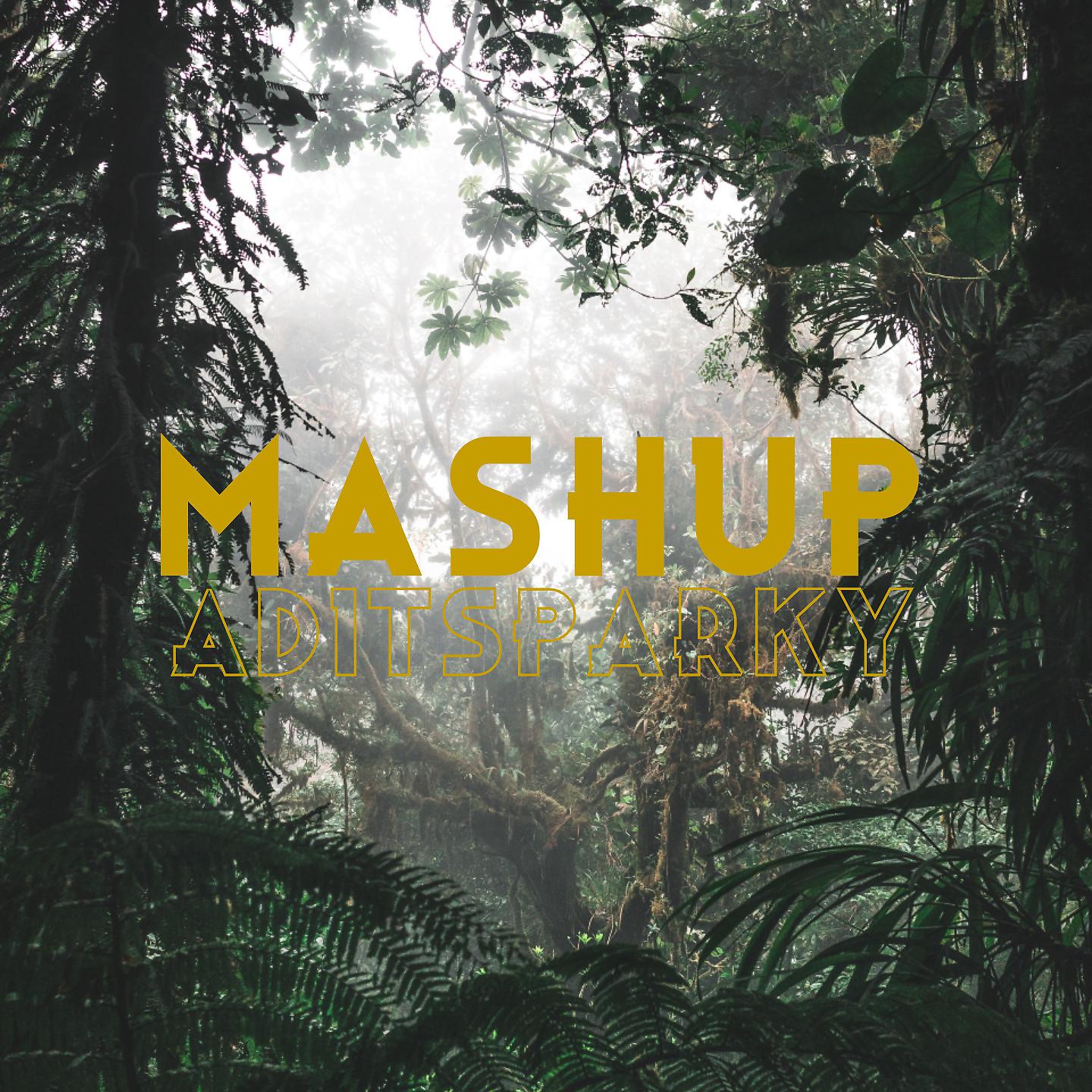 Постер альбома MASHUP