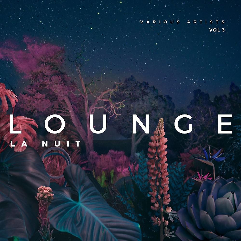 Постер альбома Lounge La Nuit, Vol. 3
