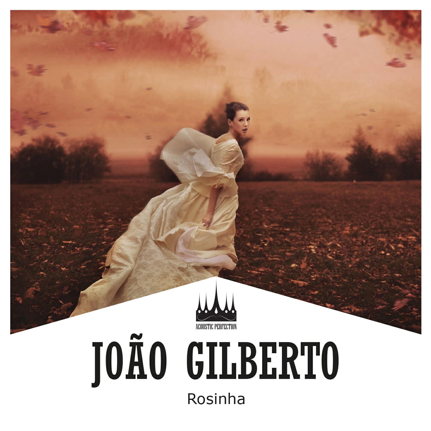 Joao Gilberto - Rosinha