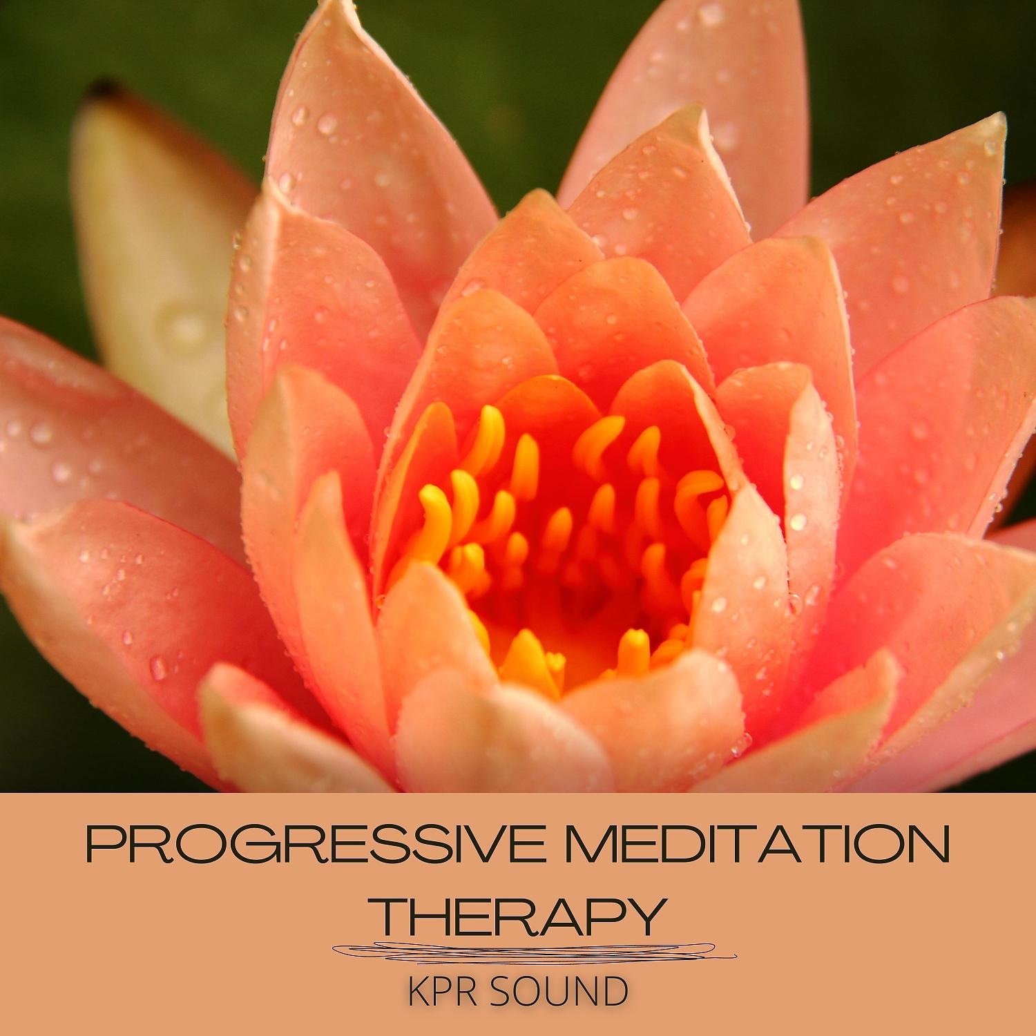 Постер альбома Progressive Meditation Therapy