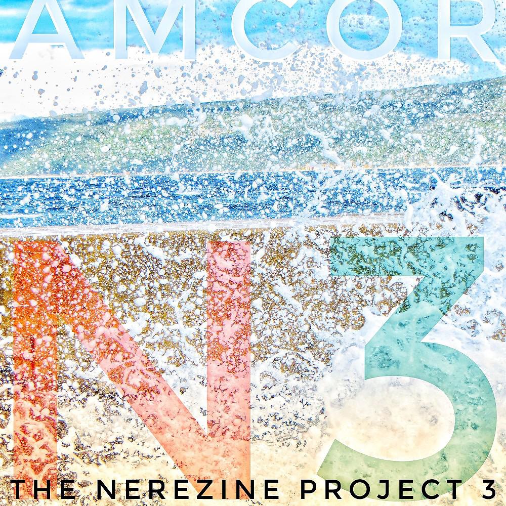Постер альбома The Nerezine Project 3 (N3)