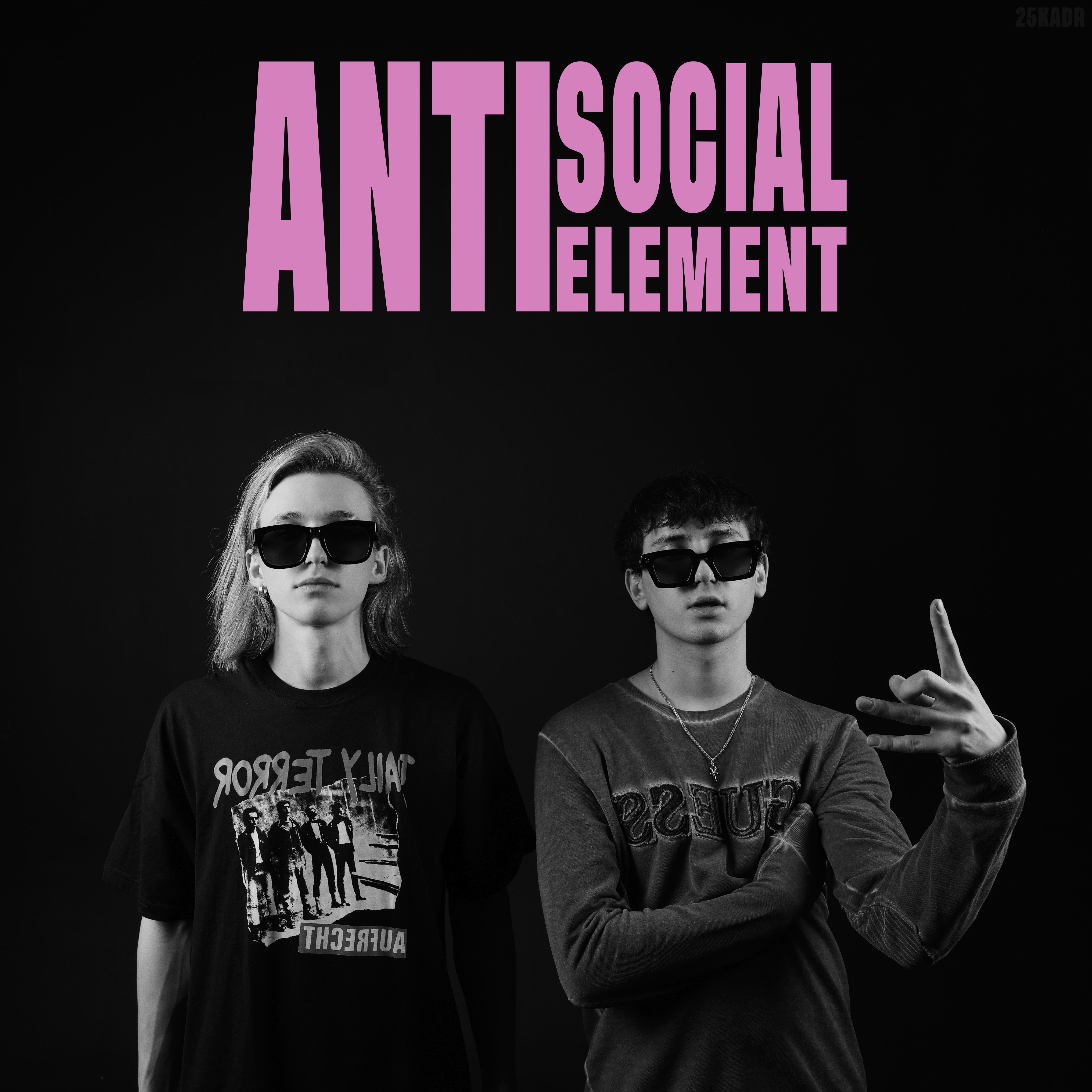 Постер альбома Anti Social Element
