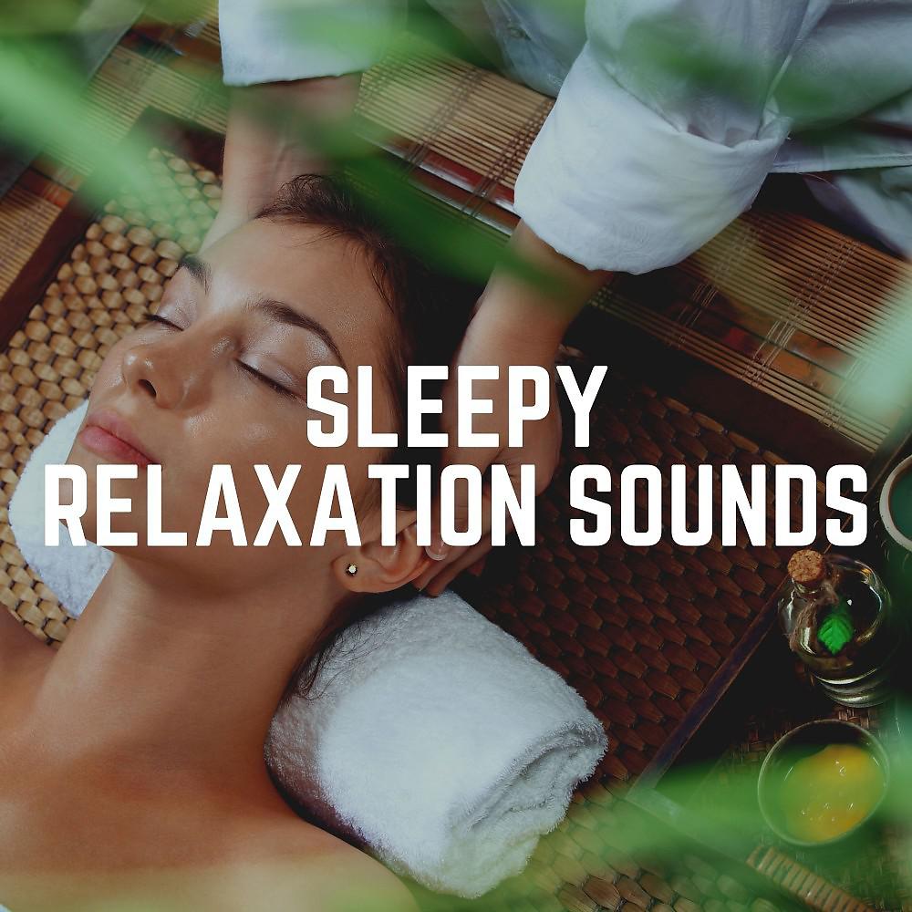 Постер альбома Sleepy Relaxation Sounds