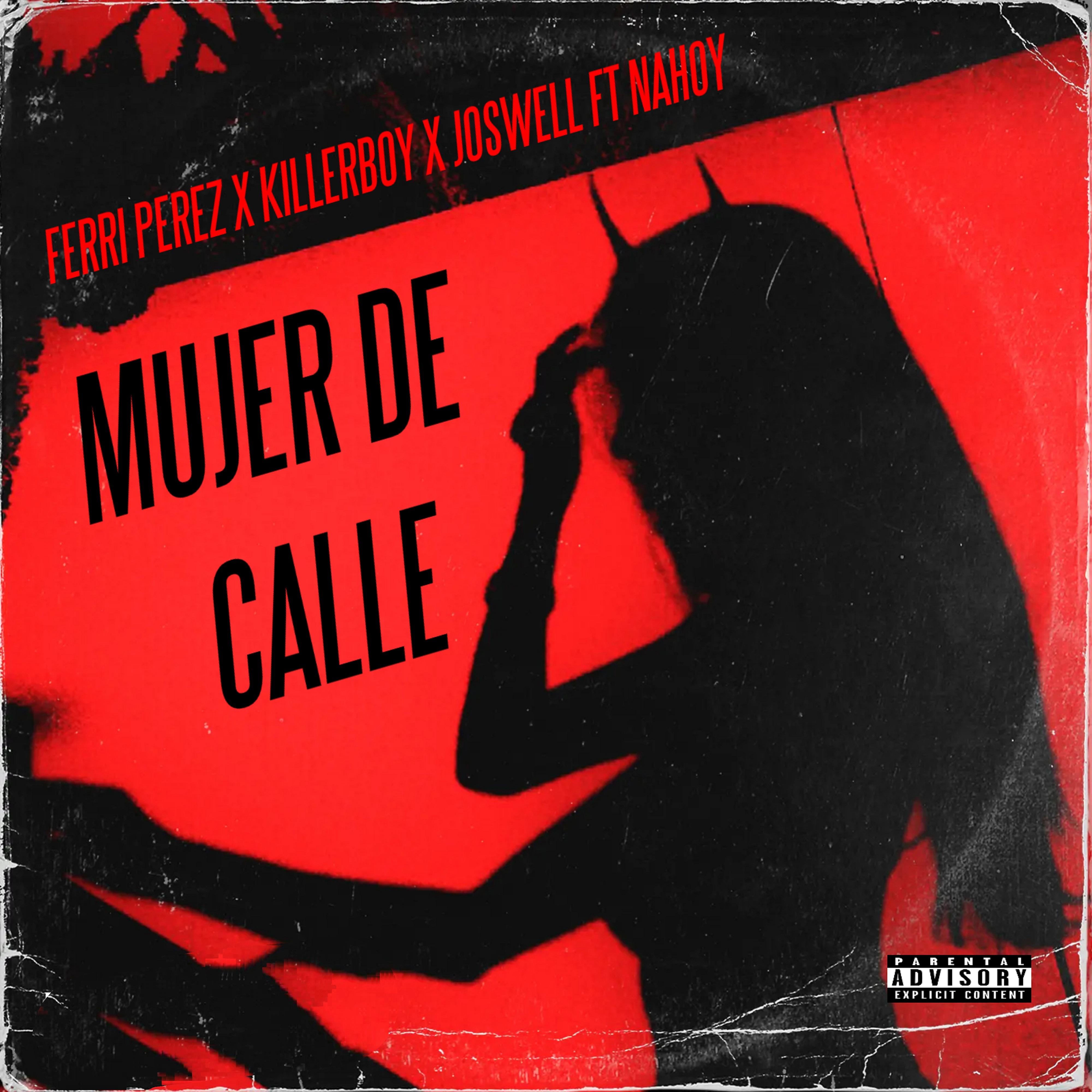 Постер альбома Mujer de Calle