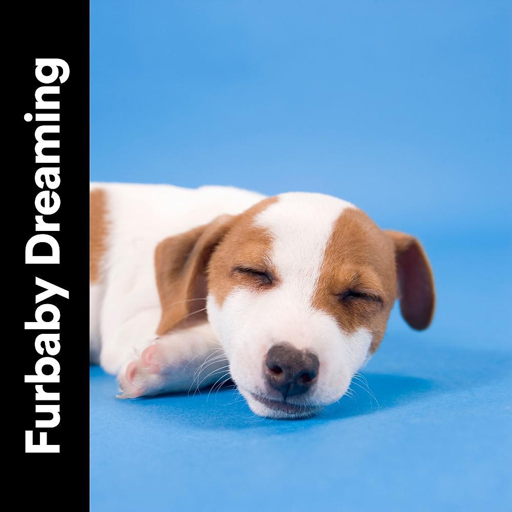Постер альбома Furbaby Dreaming