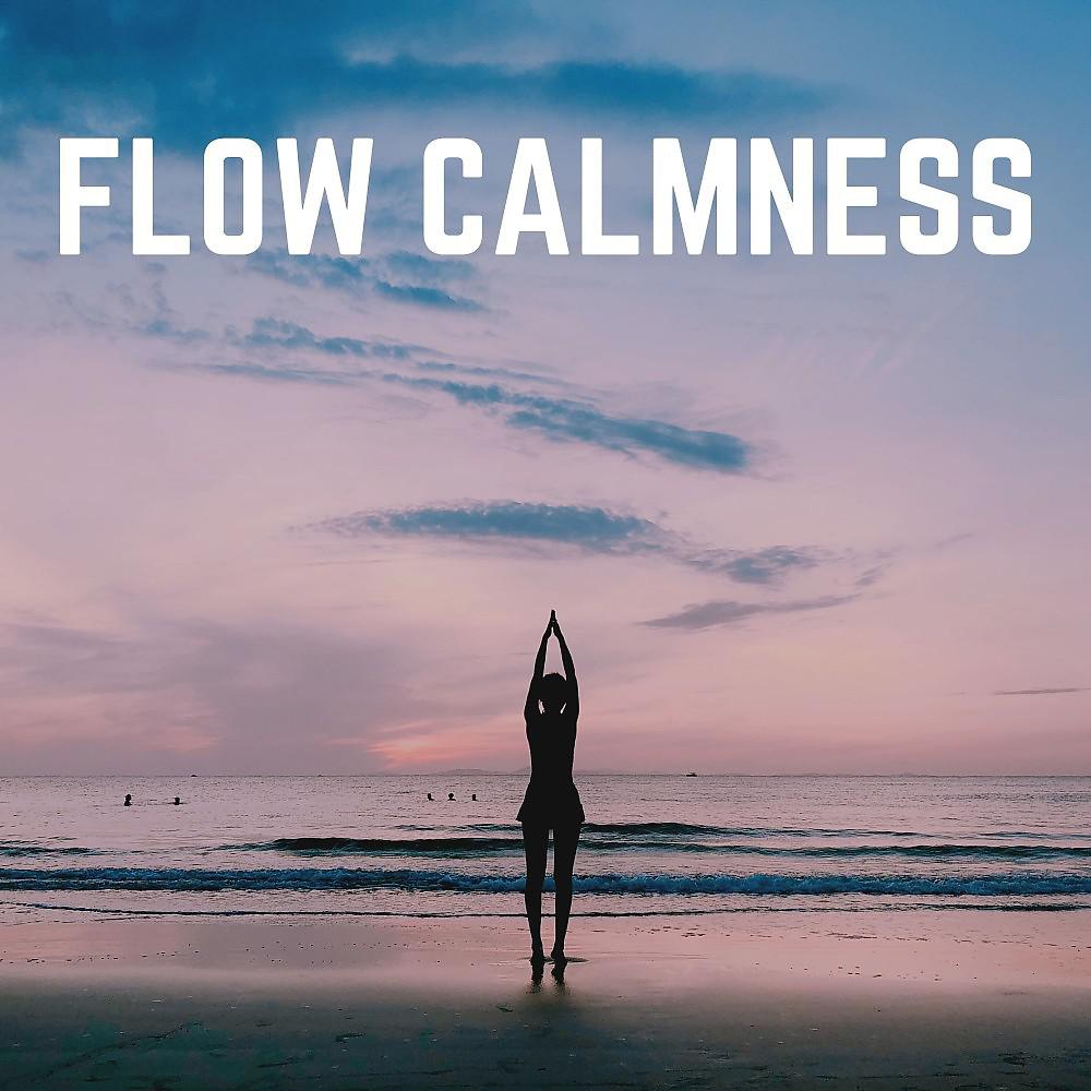 Постер альбома Flow Calmness