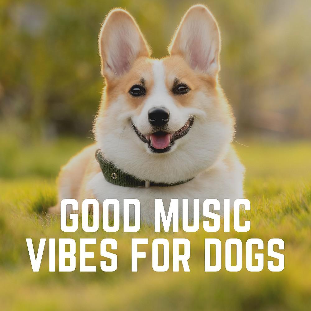 Постер альбома Good Music Vibes for Dogs