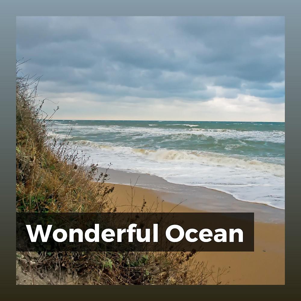 Постер альбома Wonderful Ocean