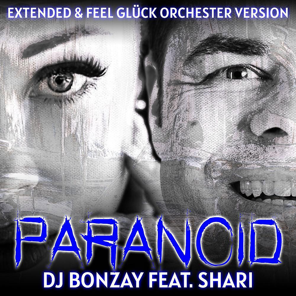 Постер альбома Paranoid (Remixe)