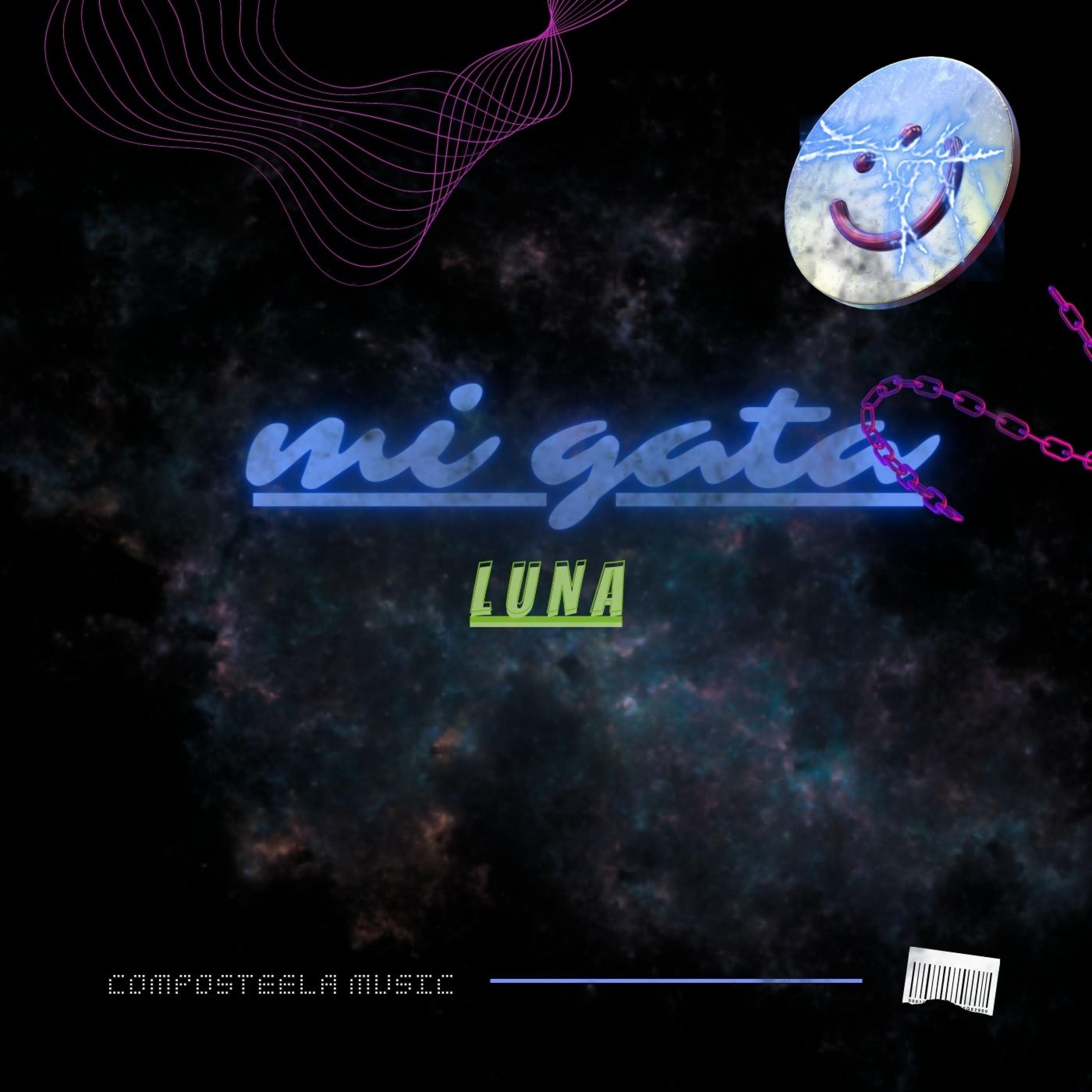 Постер альбома Mi Gata