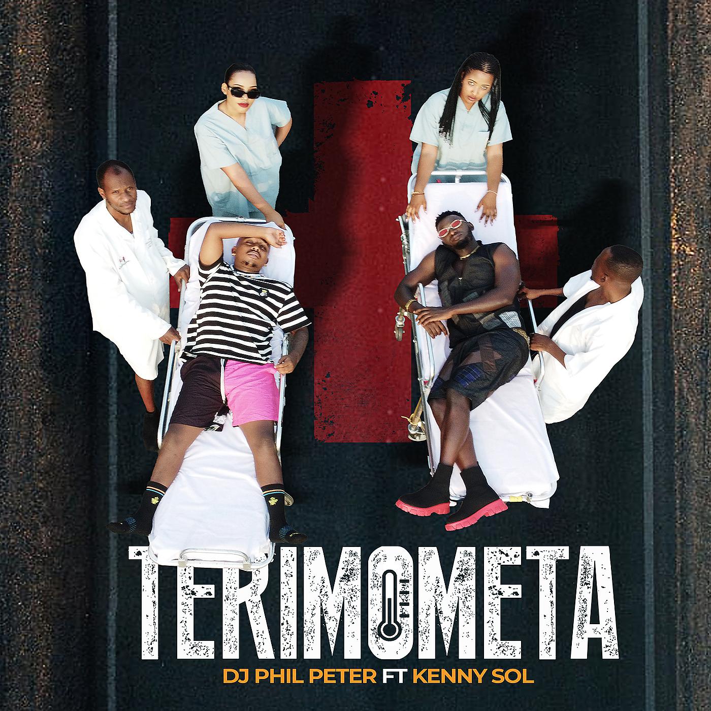 Постер альбома Terimometa