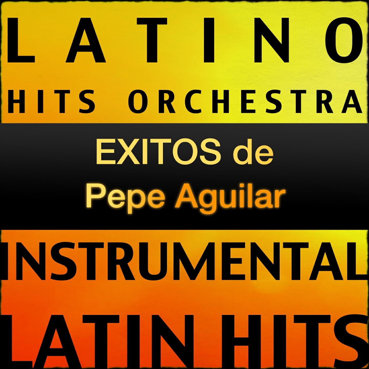 Grupo LatinHits - Huapango Torero (Karaoke Version) [Originally Performed By Pepe Aguilar]