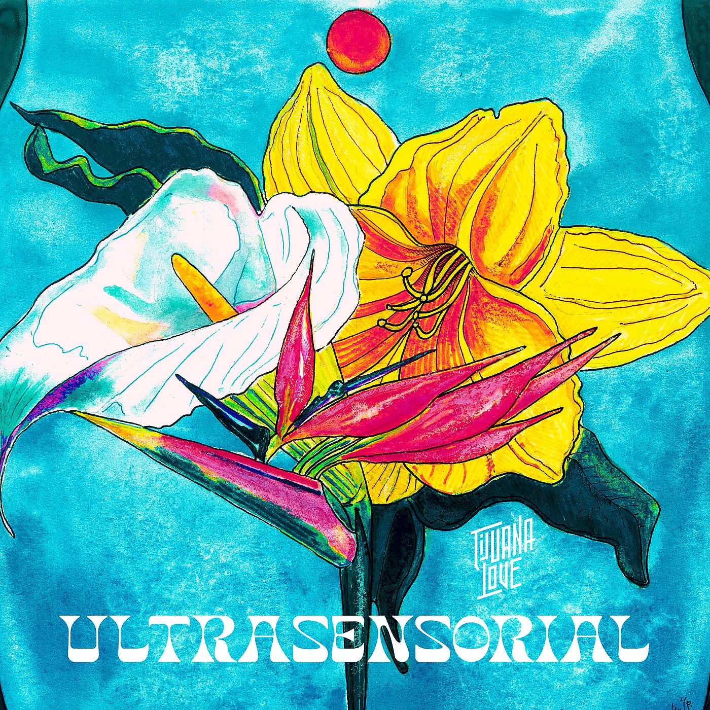 Постер альбома Ultrasensorial