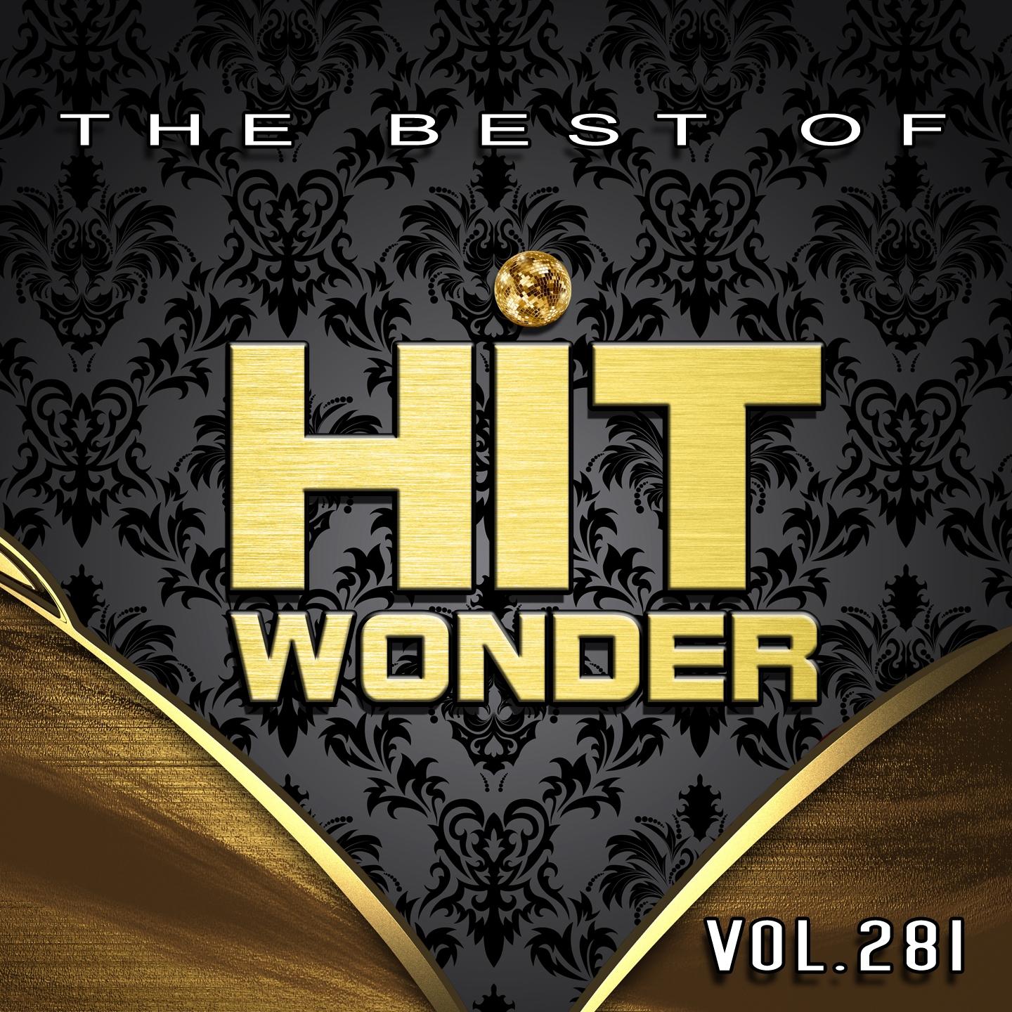 Постер альбома Hit Wonder: The Best Of, Vol. 281