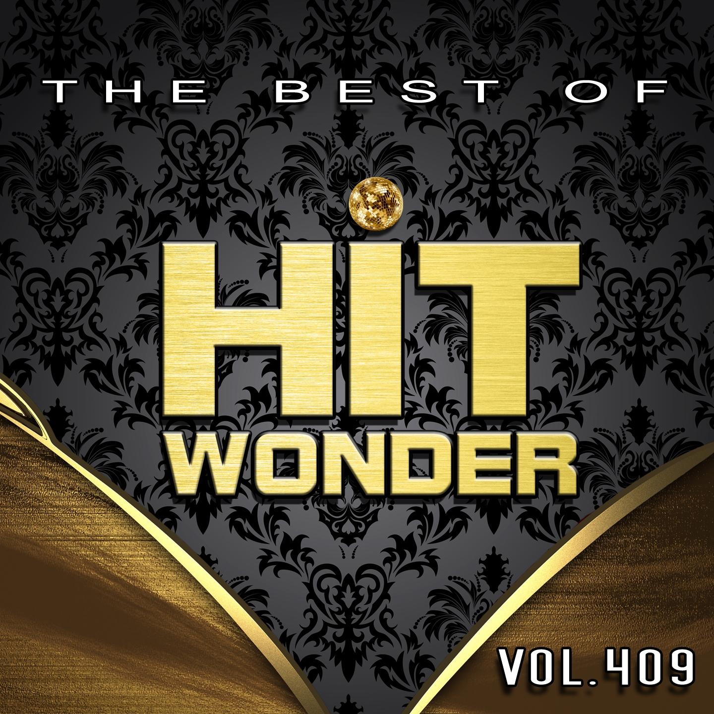 Постер альбома Hit Wonder: The Best Of, Vol. 409