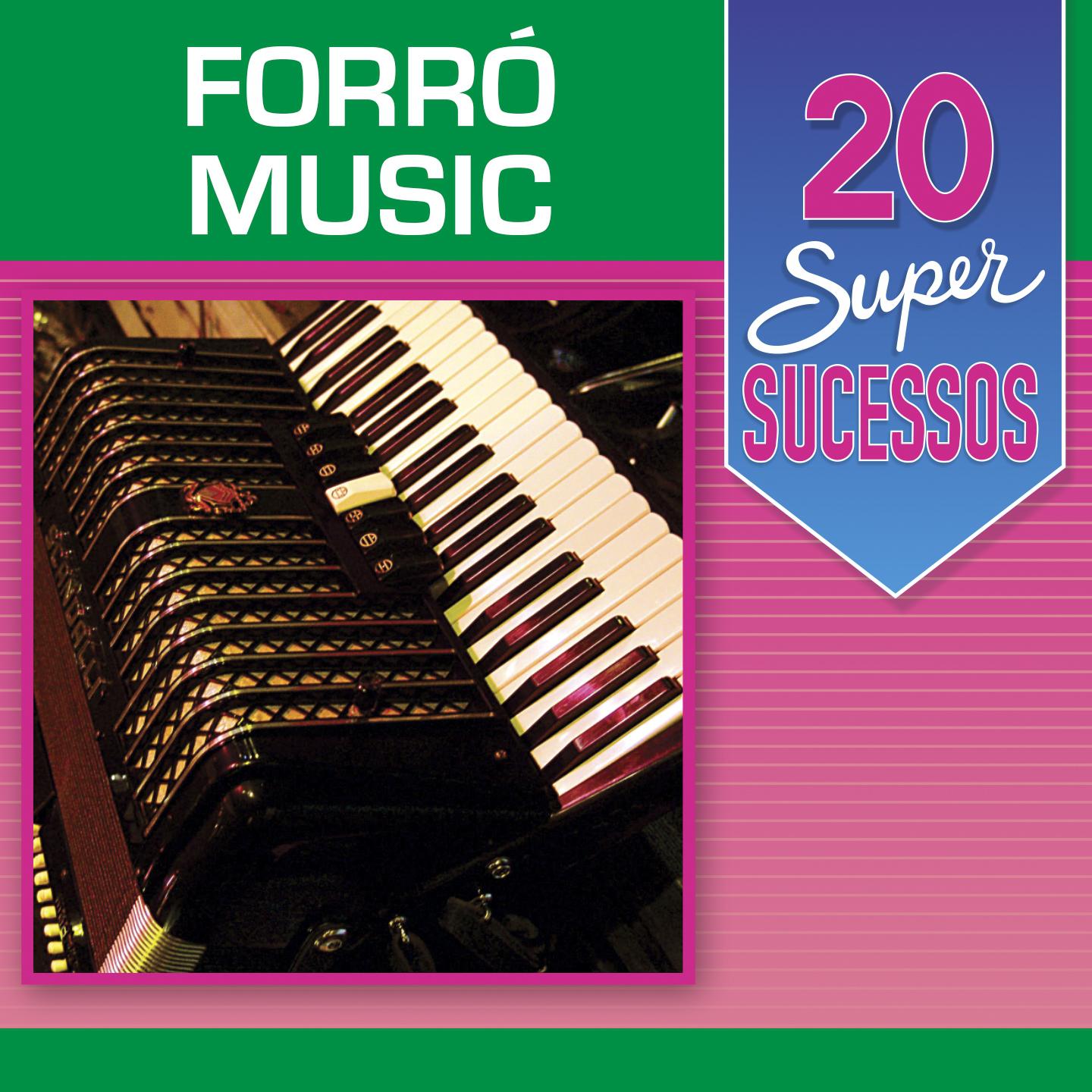 Постер альбома 20 Super Sucessos: Forró Music