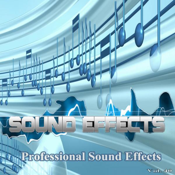 Professional Sound Effects Group - Train Crossing