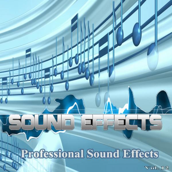 Professional Sound Effects Group - Plane