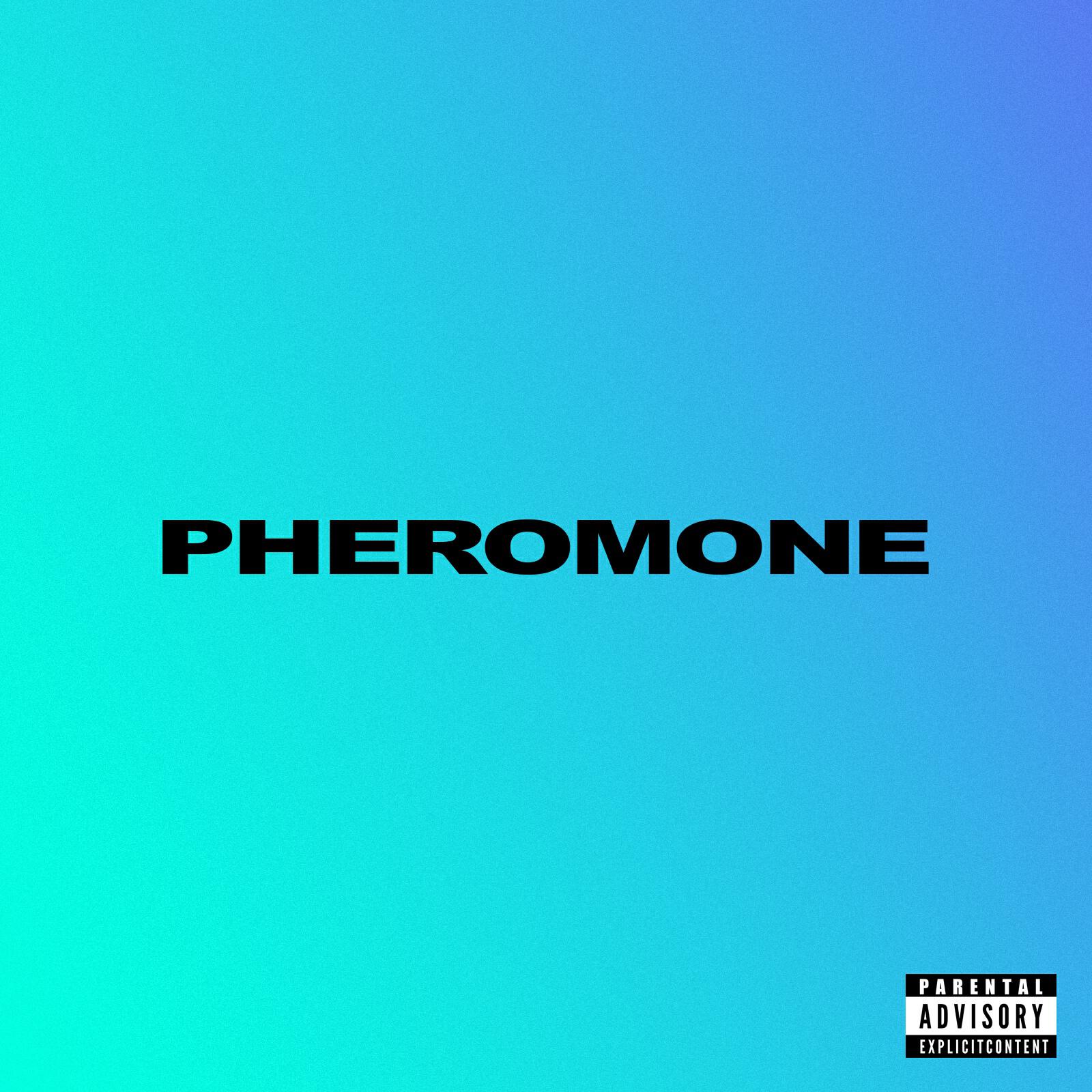 Индаблэк - Pheromone