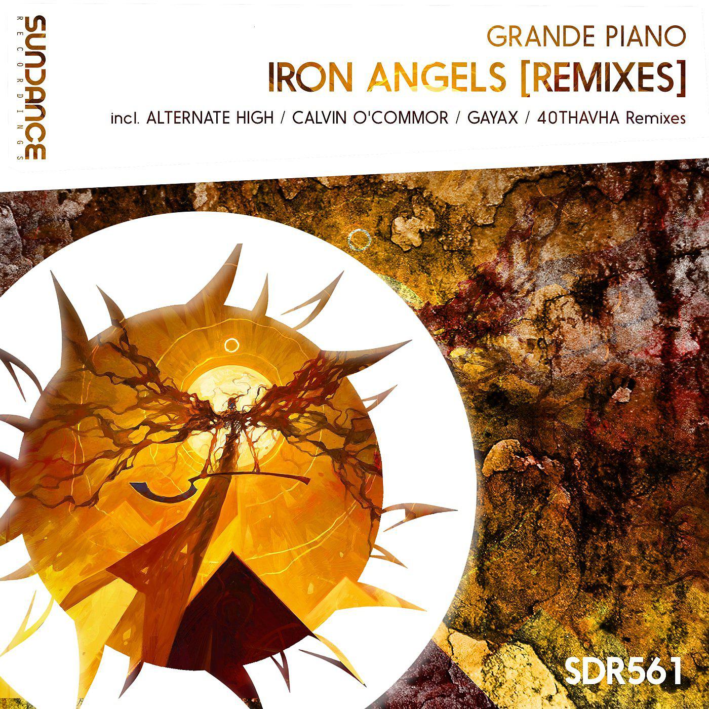 Постер альбома Iron Angels [Remixes]