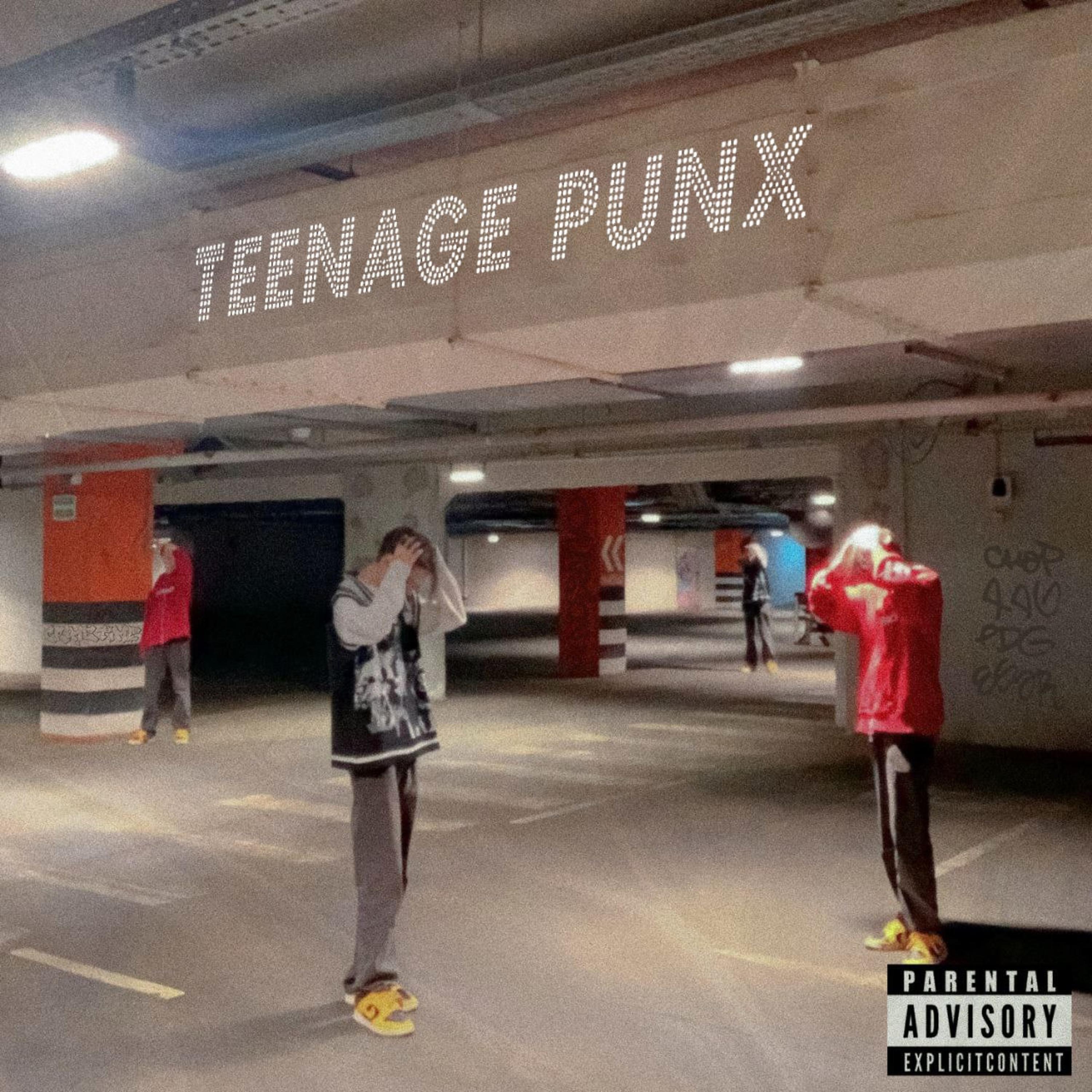 Постер альбома Teenage Punx