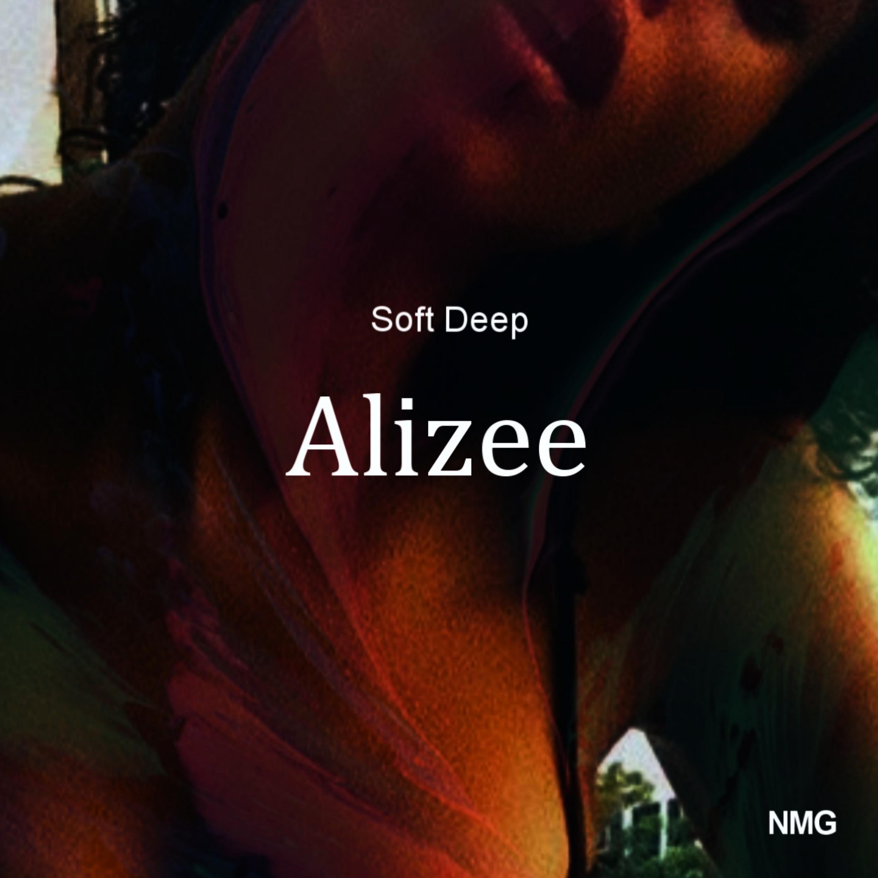 Постер альбома Alizee