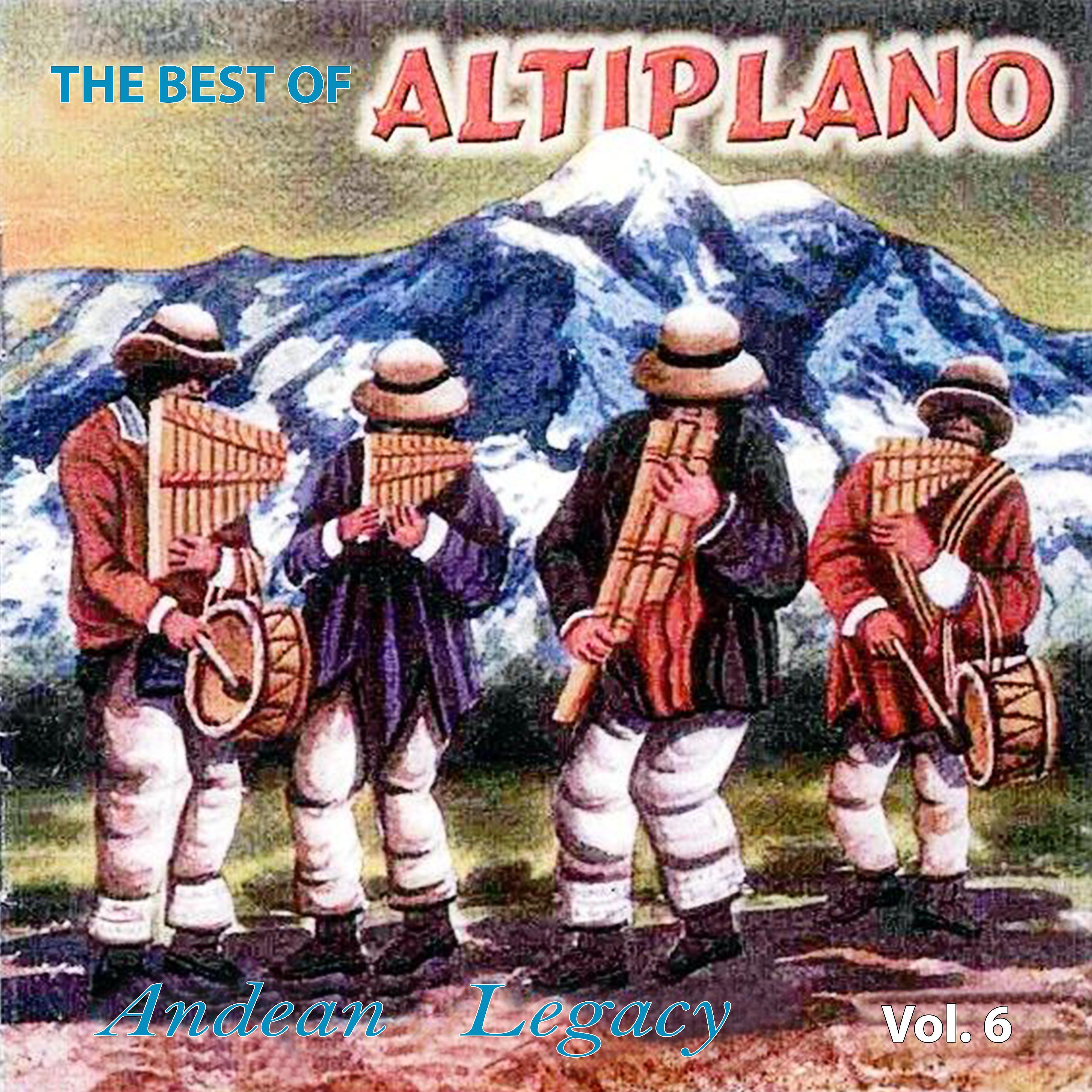 Постер альбома The Best Of Altiplano, Vol.6