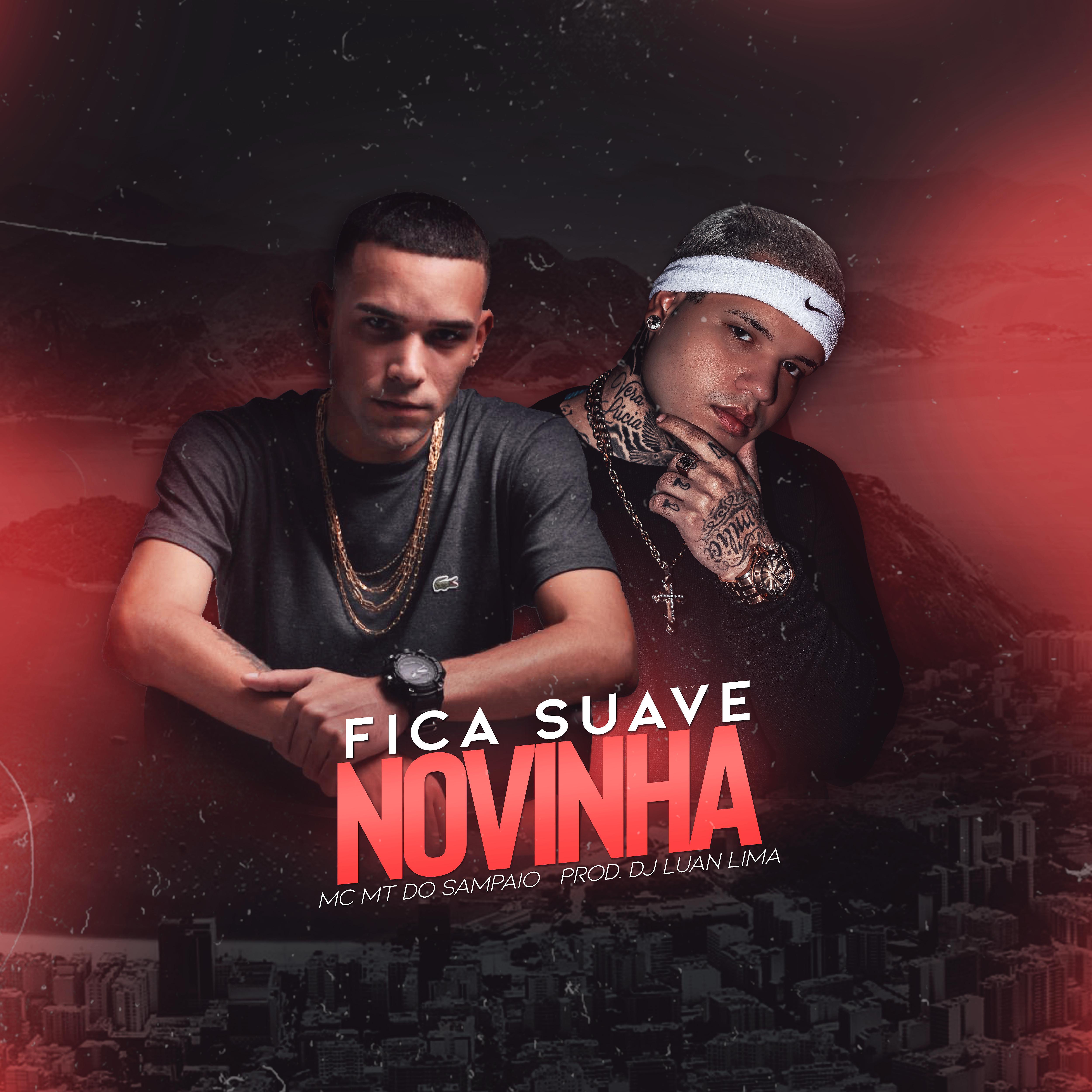 Постер альбома Fica Suave Novinha